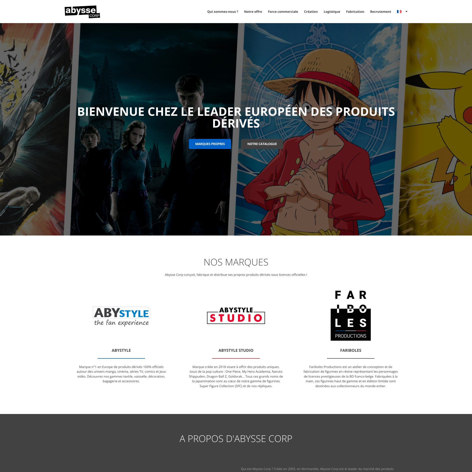Aperçu du site