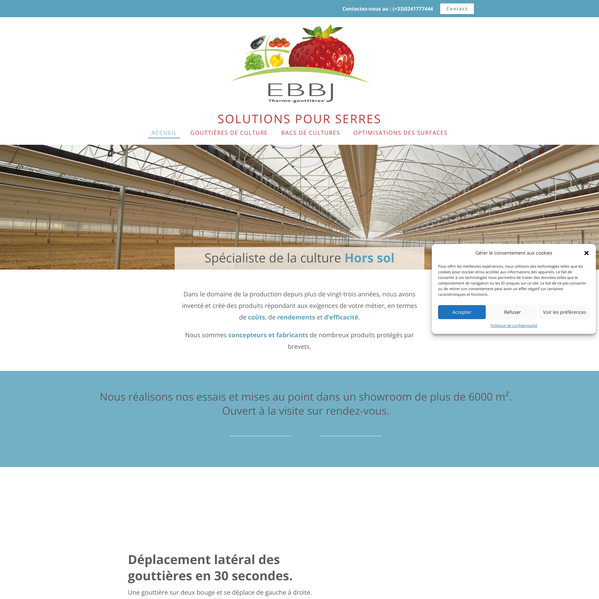 Aperçu du site