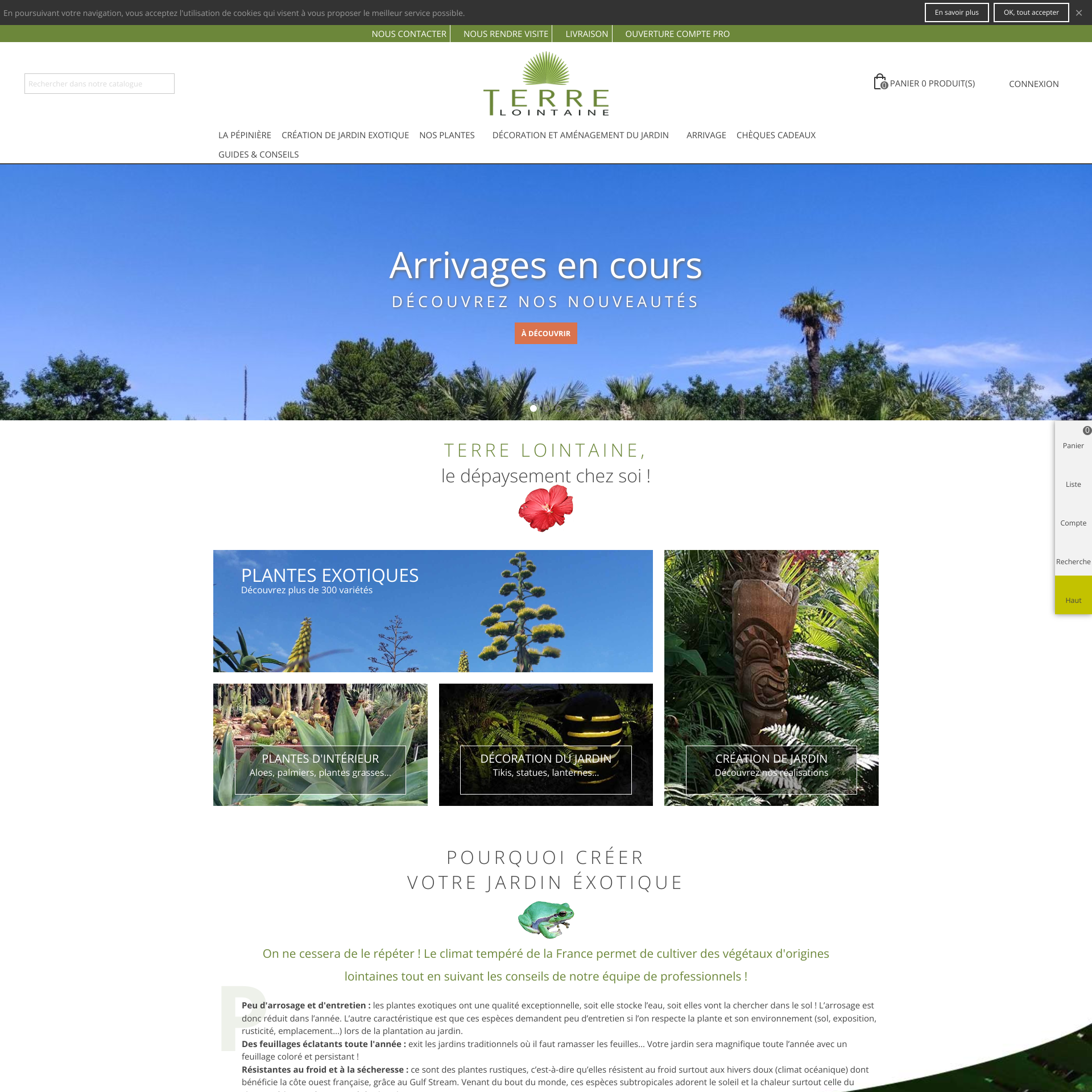 Aperçu du site