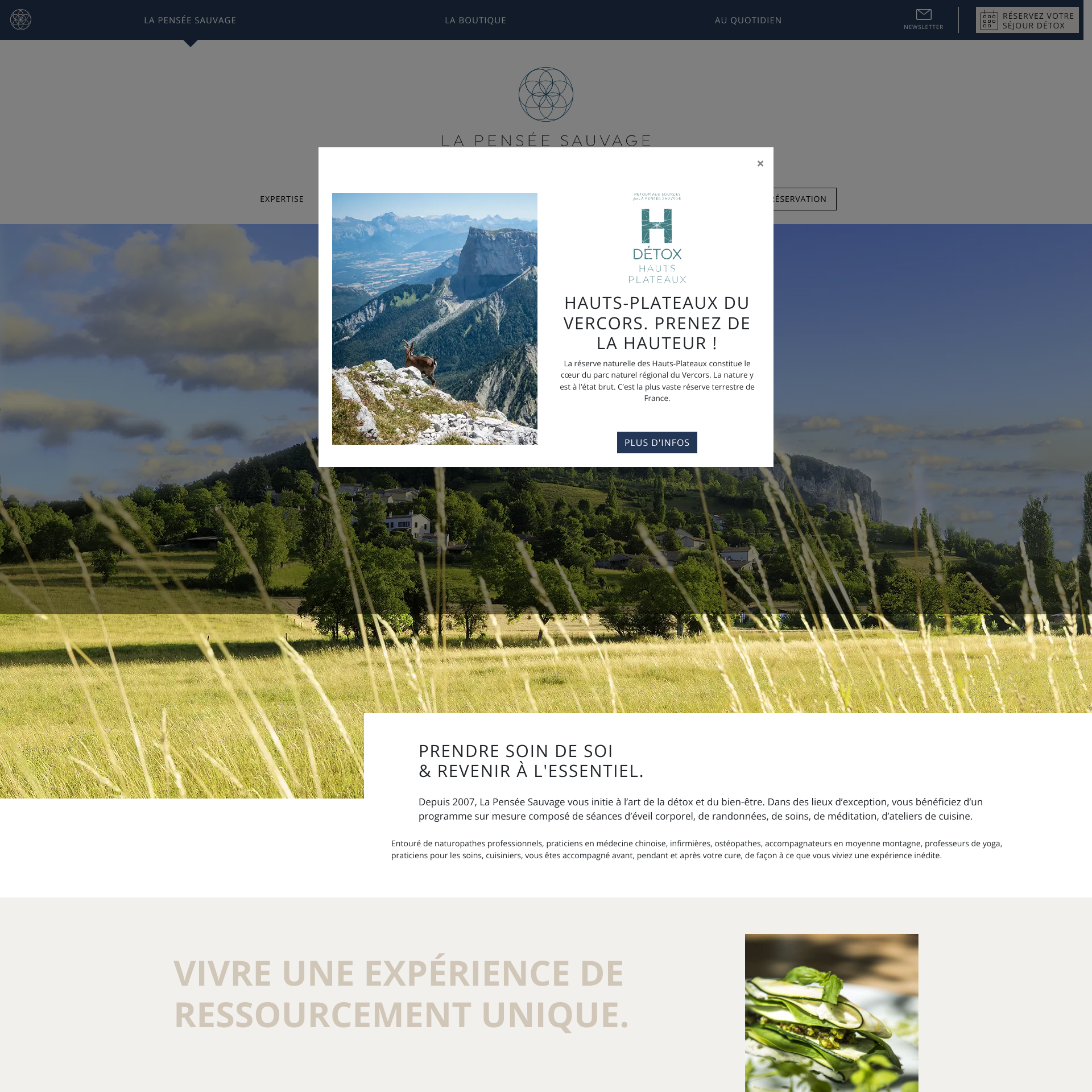 Aperçu du site