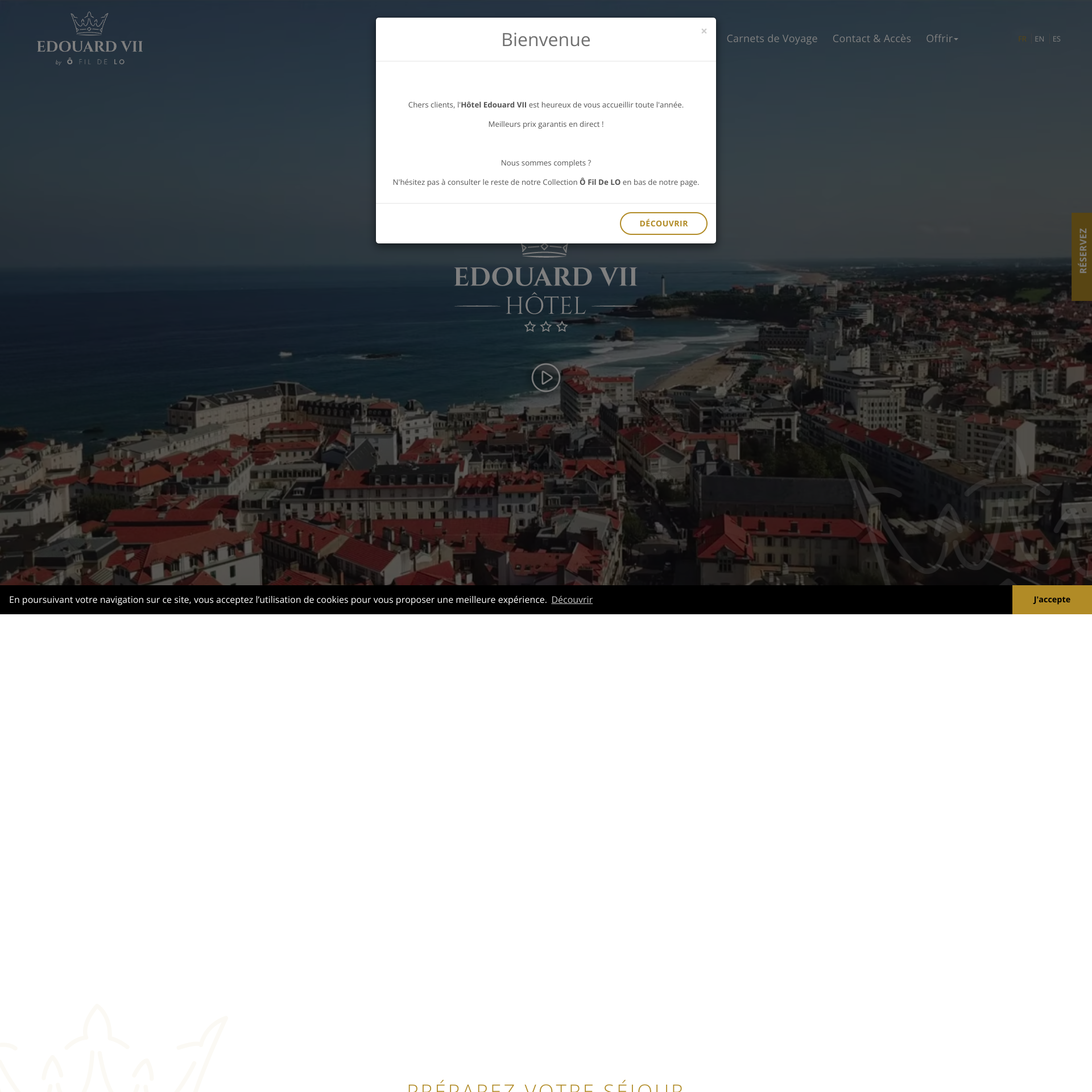 Aperçu du site