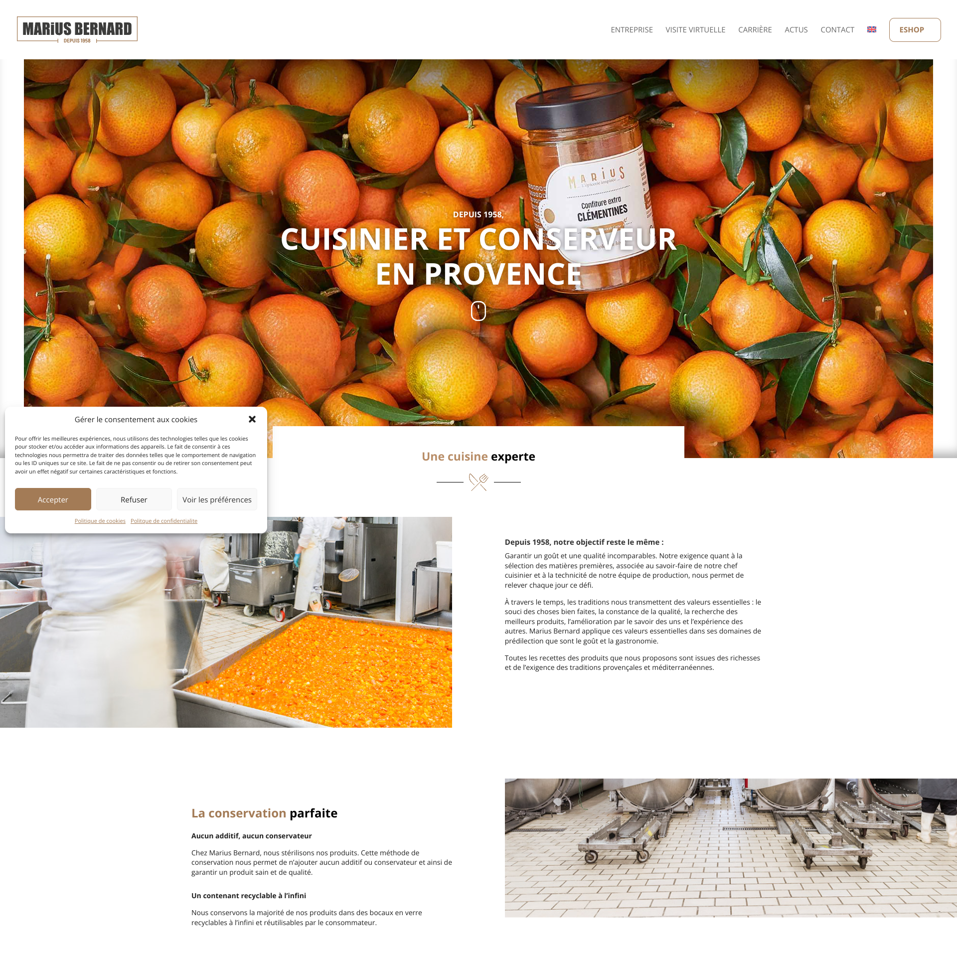 Aperçu du site