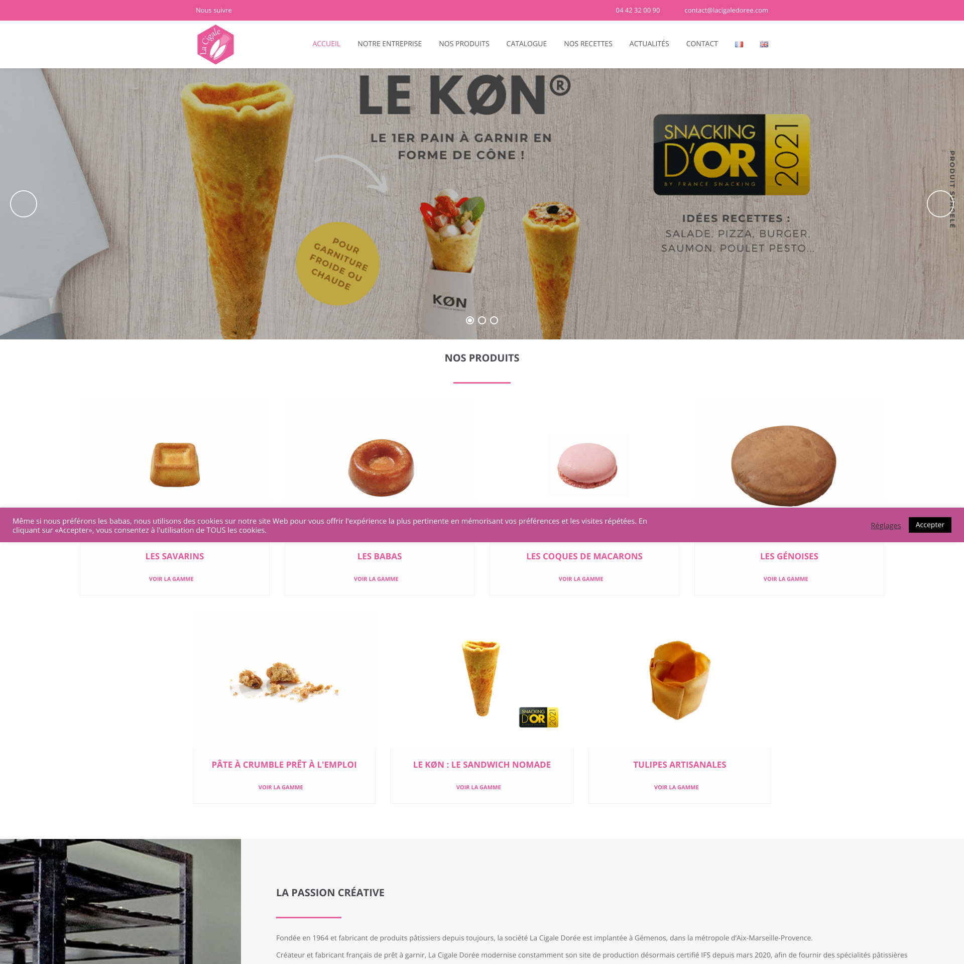 Aperçu du site