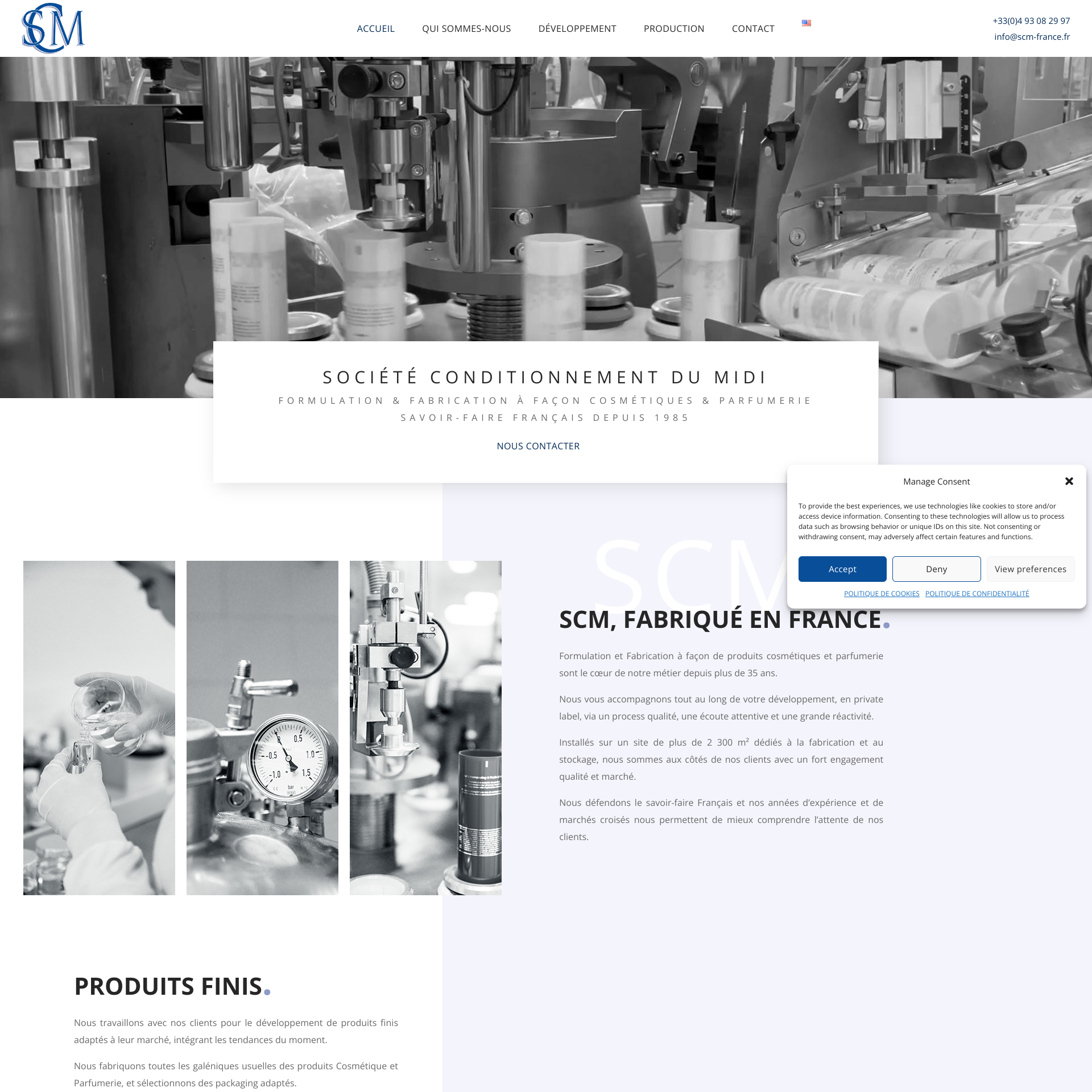 Aperçu du site