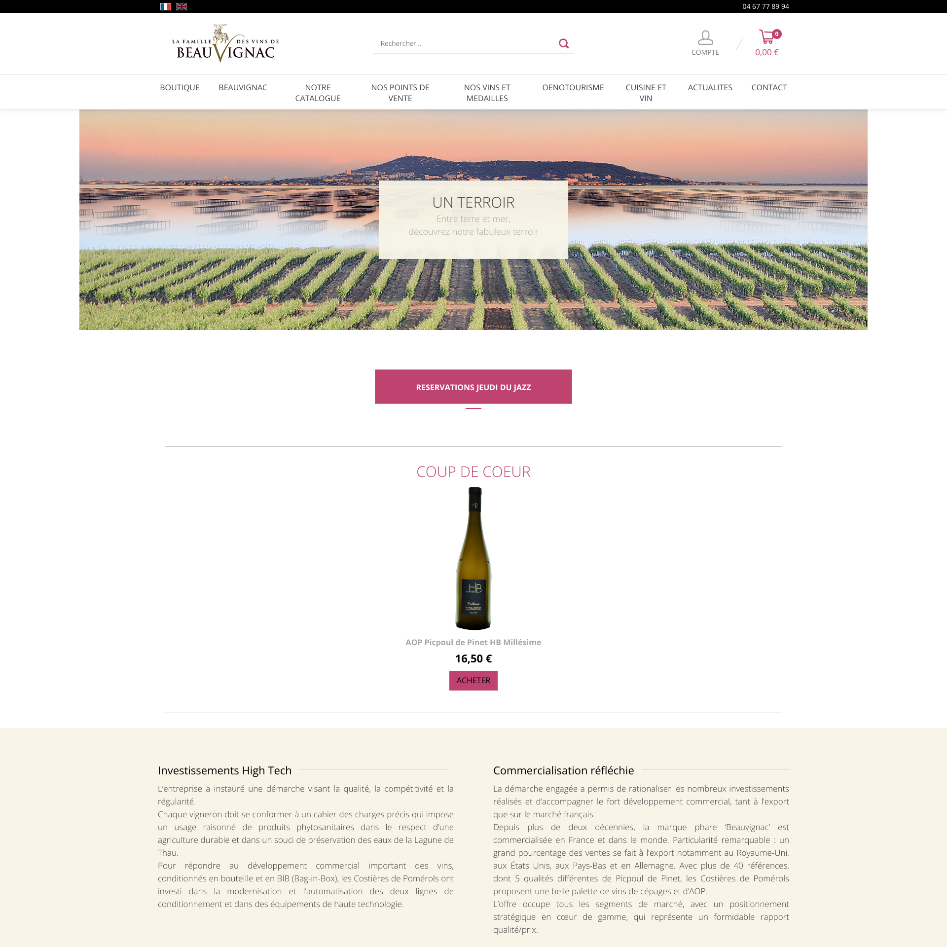 Aperçu du site