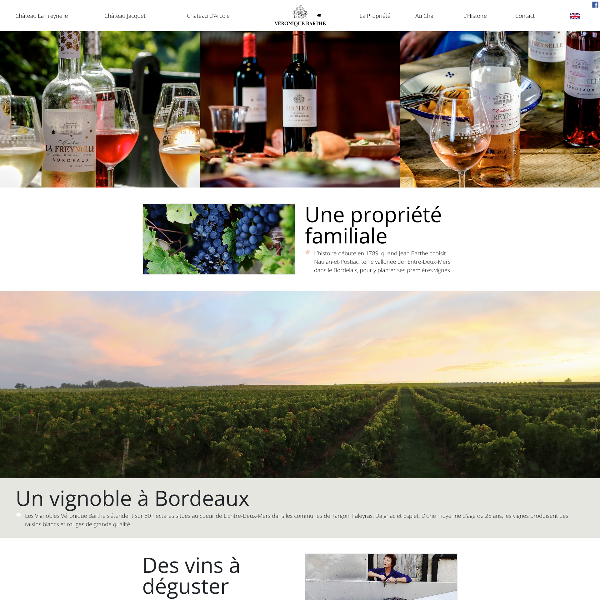 Aperçu du site