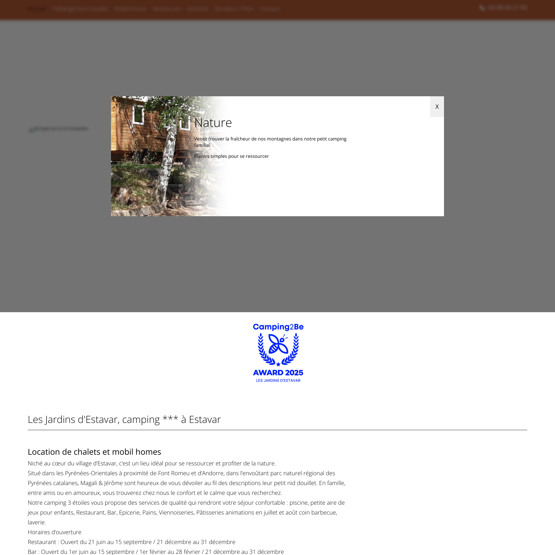 Aperçu du site