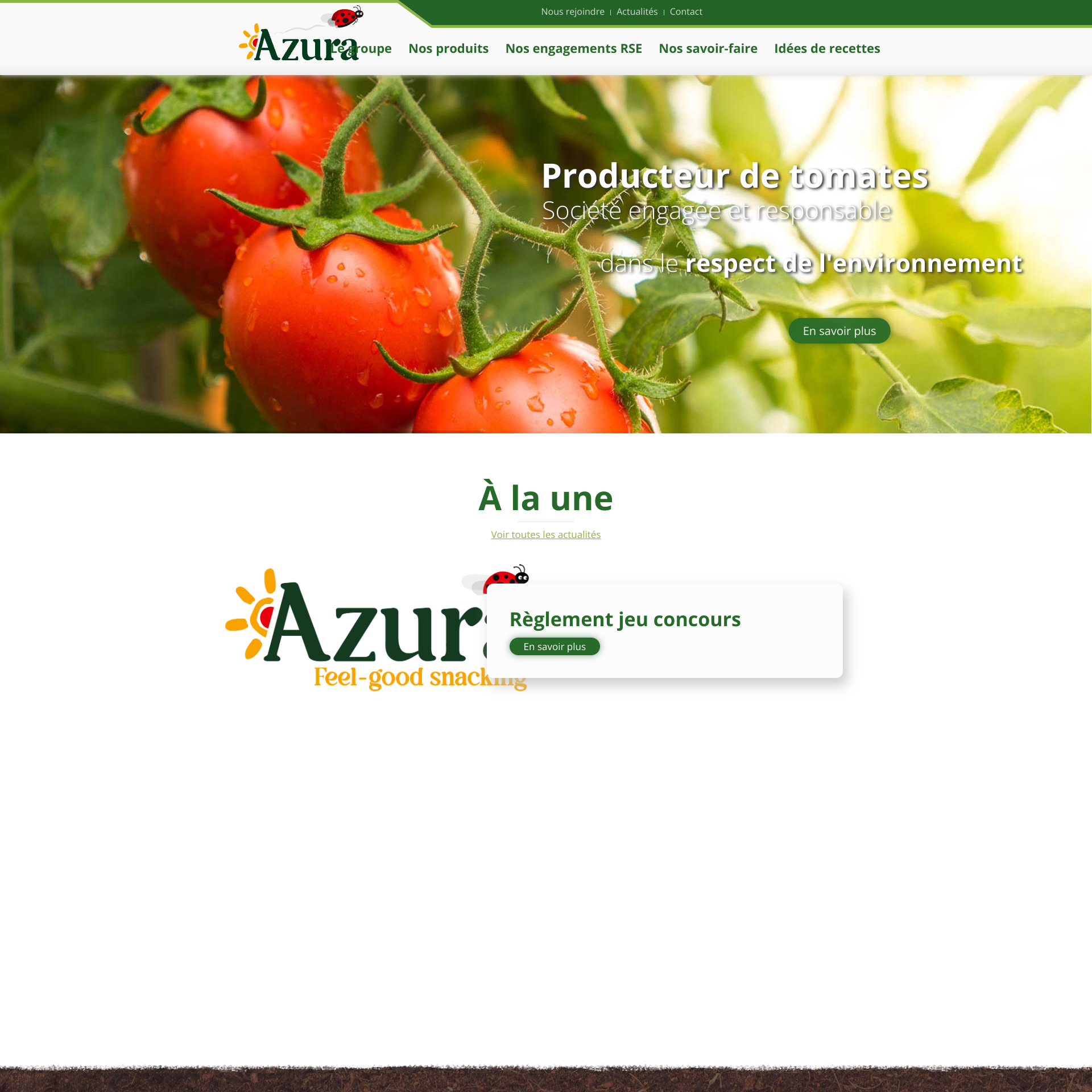 Aperçu du site