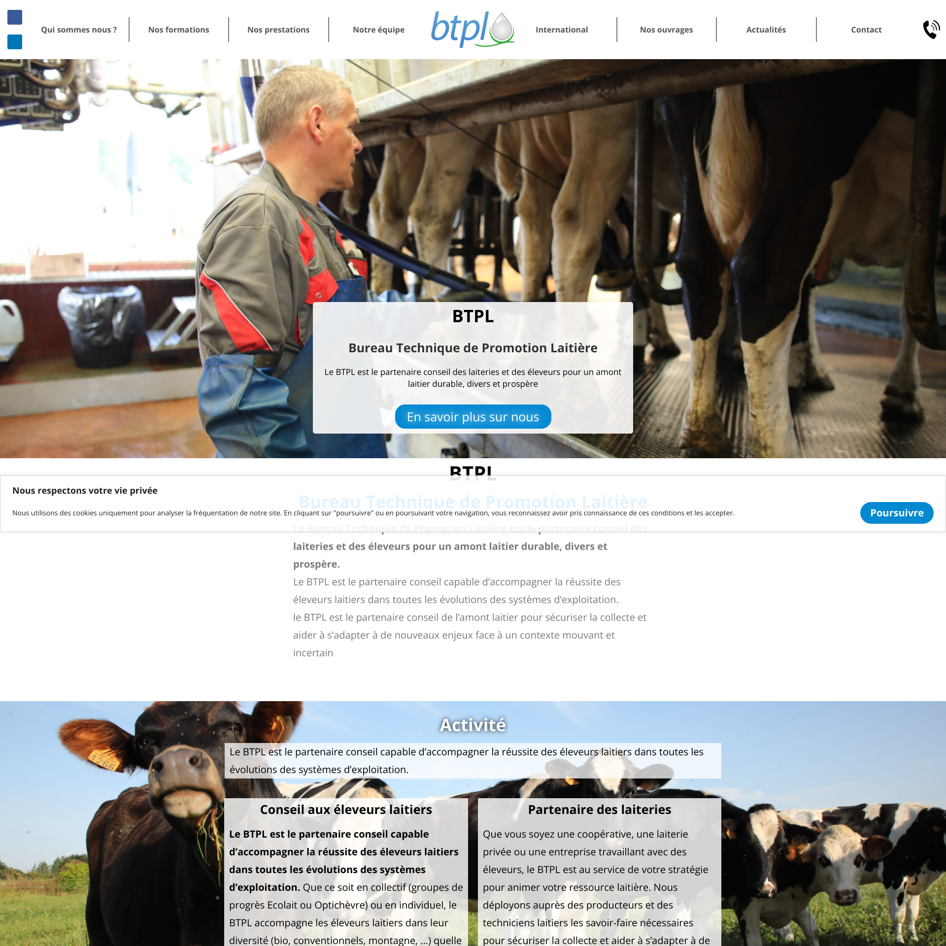 Aperçu du site