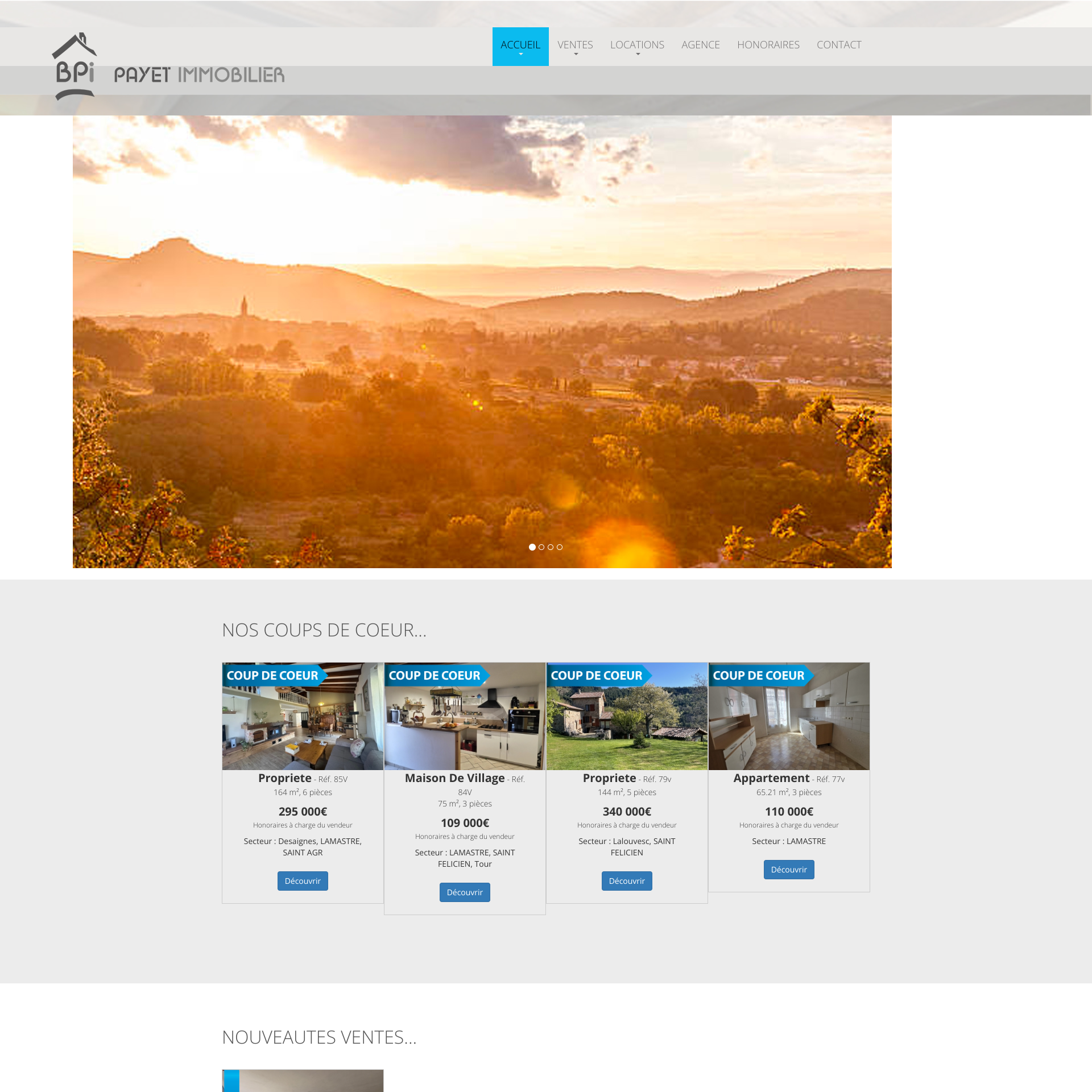 Aperçu du site