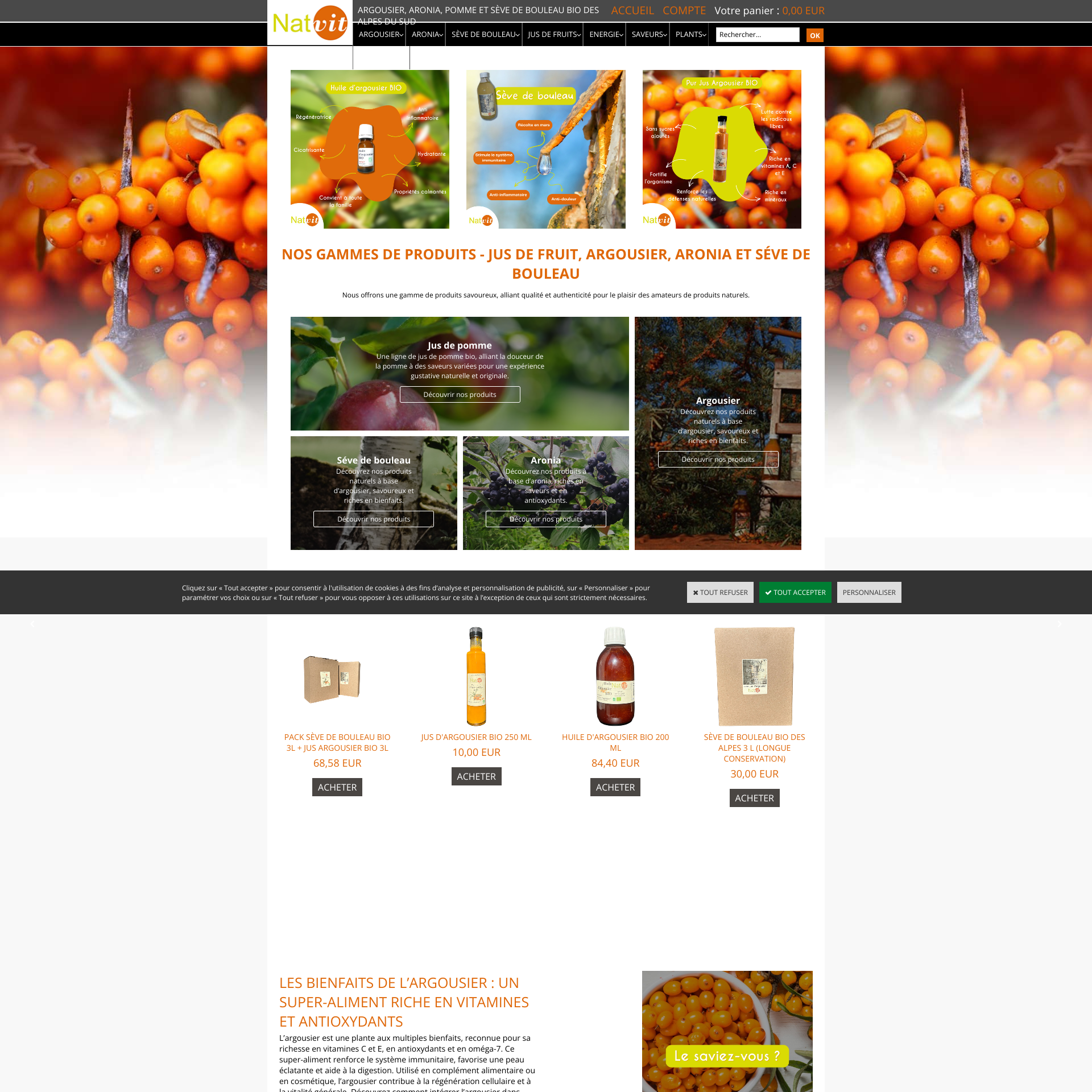 Aperçu du site