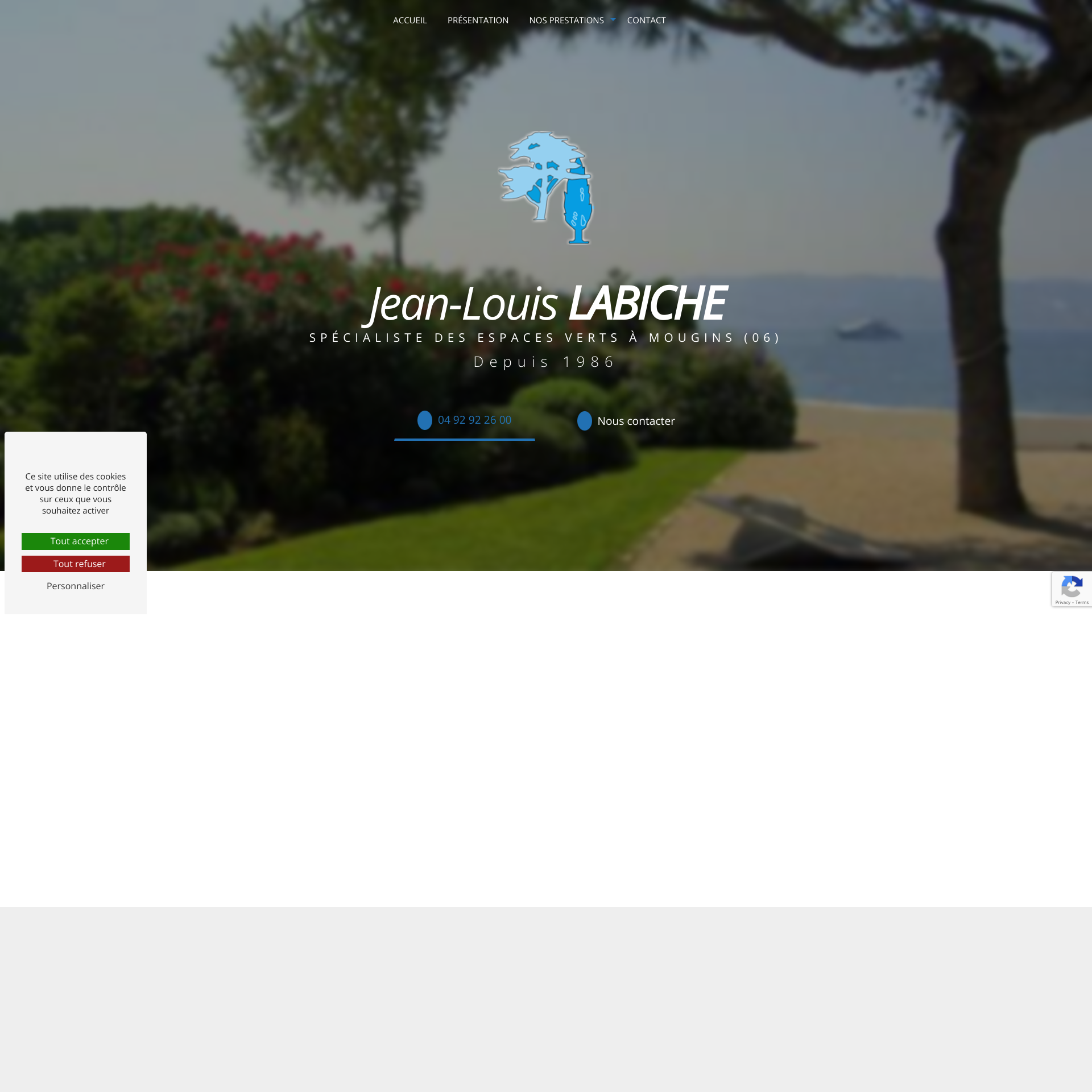 Aperçu du site