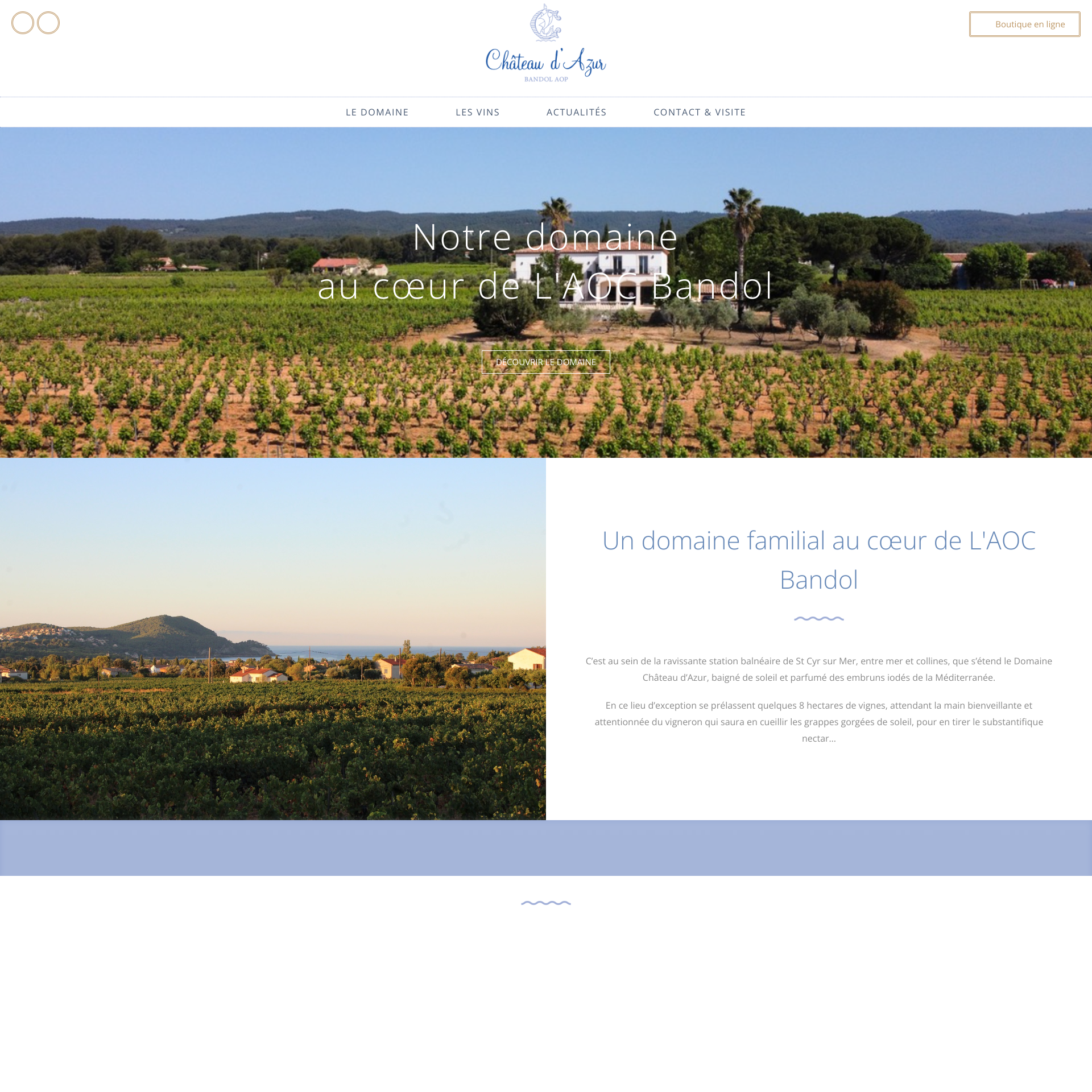 Aperçu du site