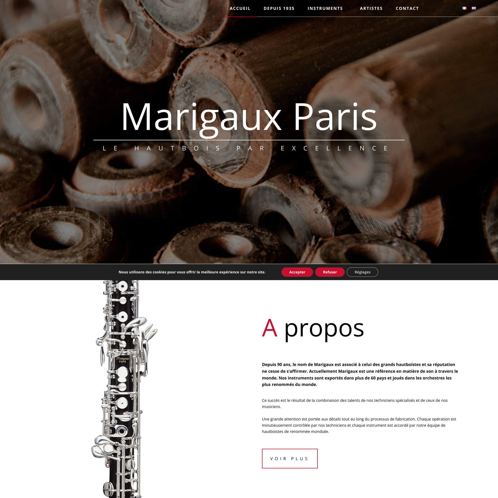 Aperçu du site