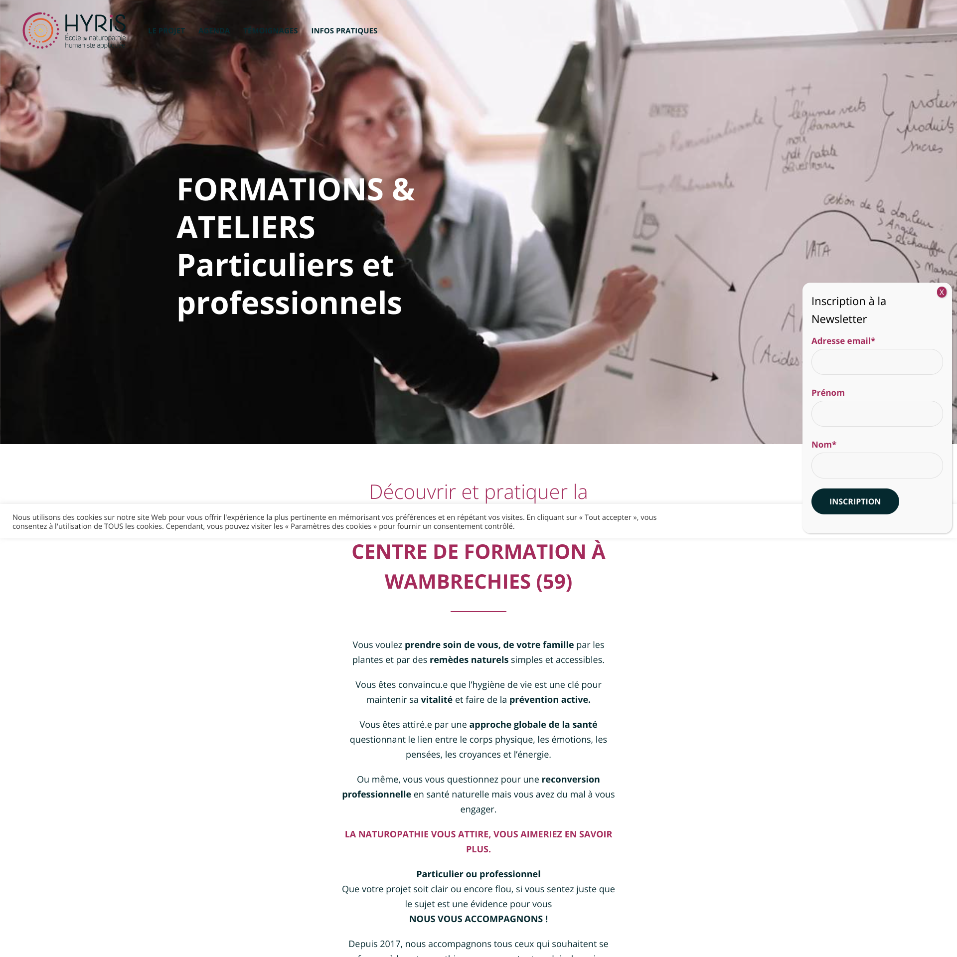 Aperçu du site