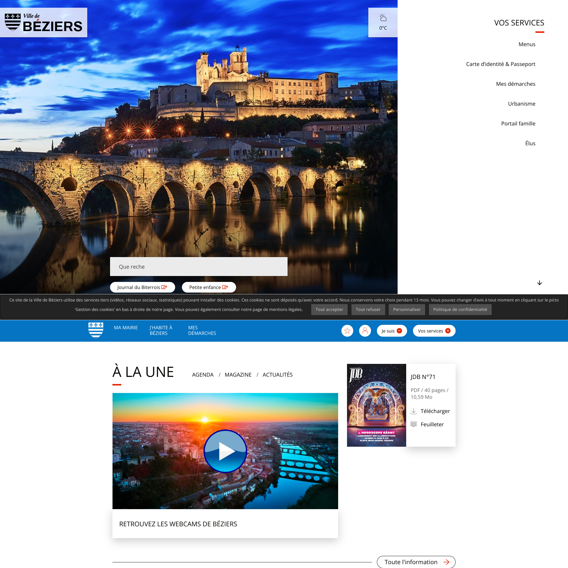 Aperçu du site