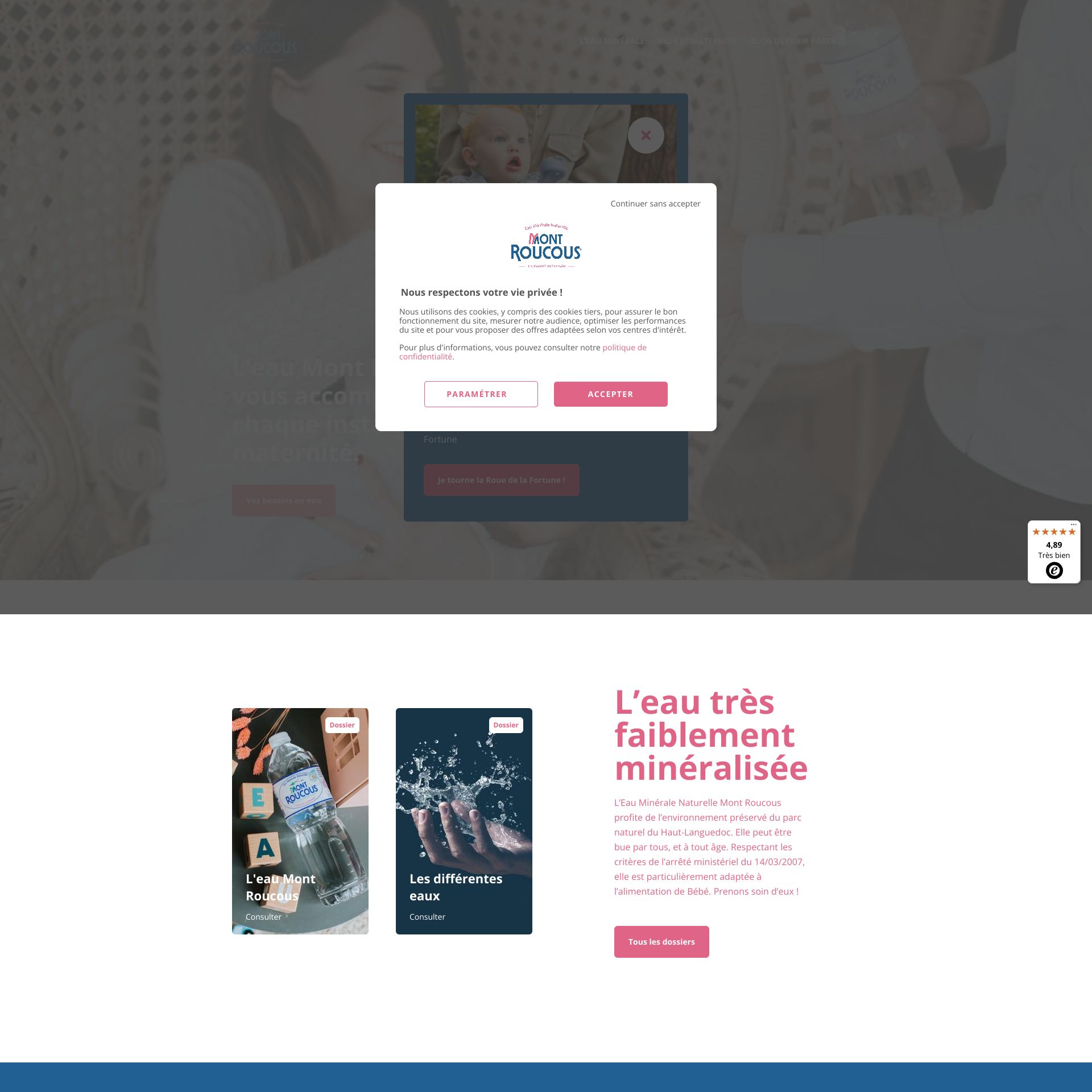 Aperçu du site