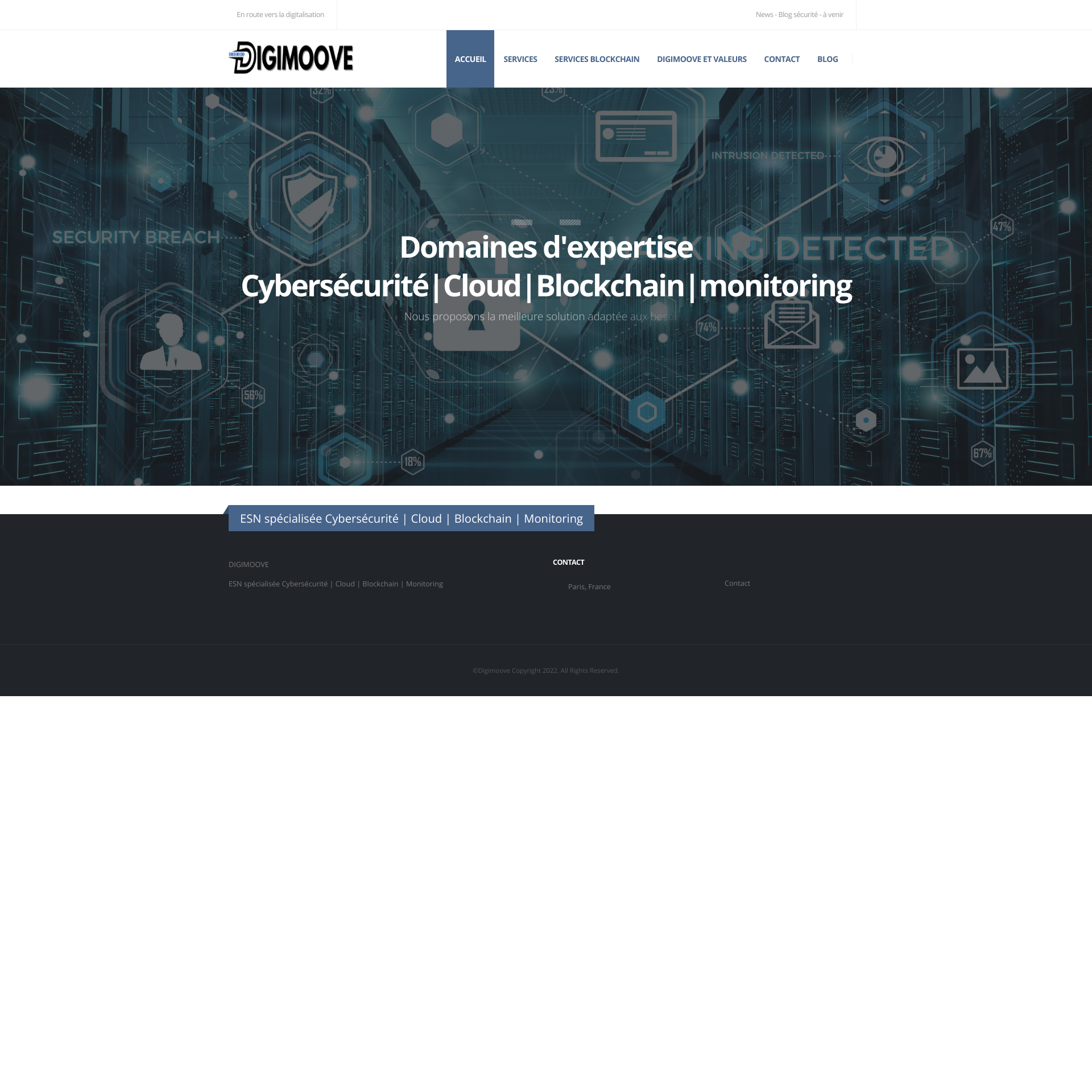 Aperçu du site