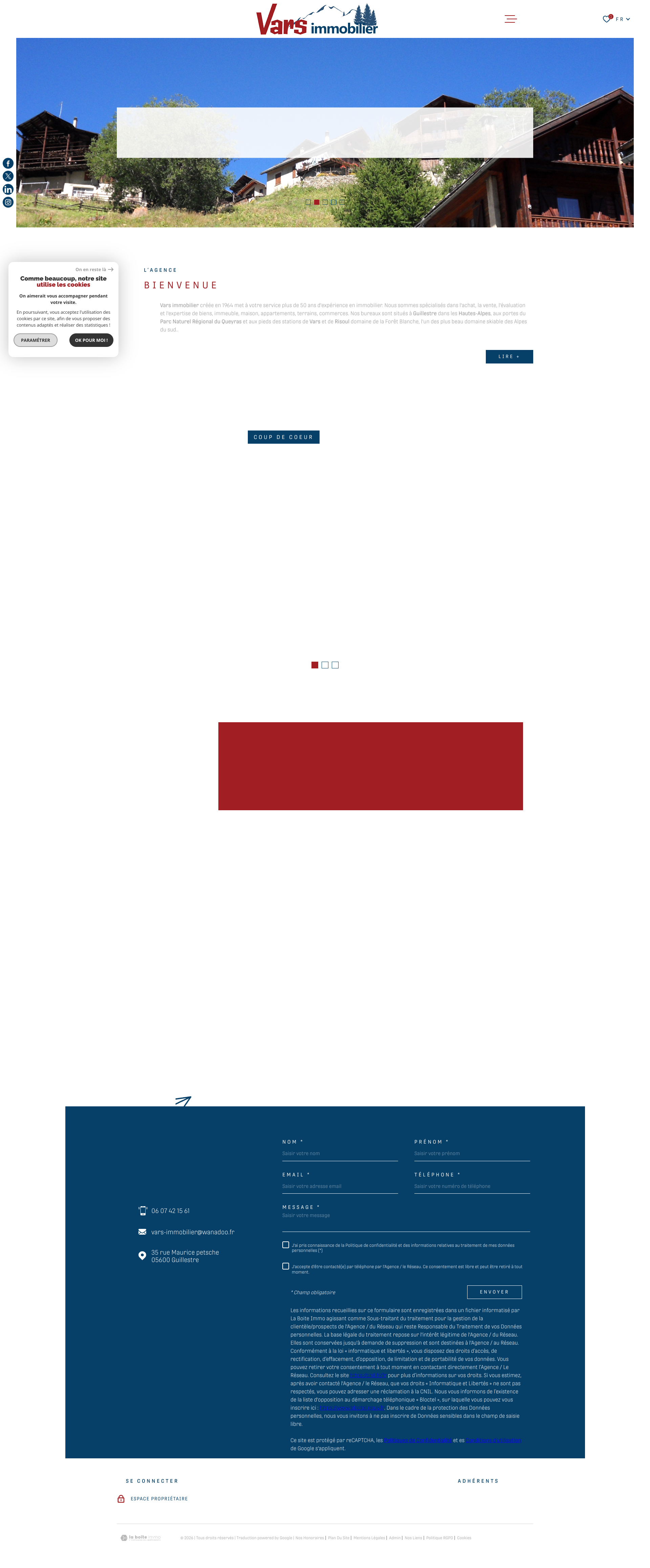 Aperçu du site
