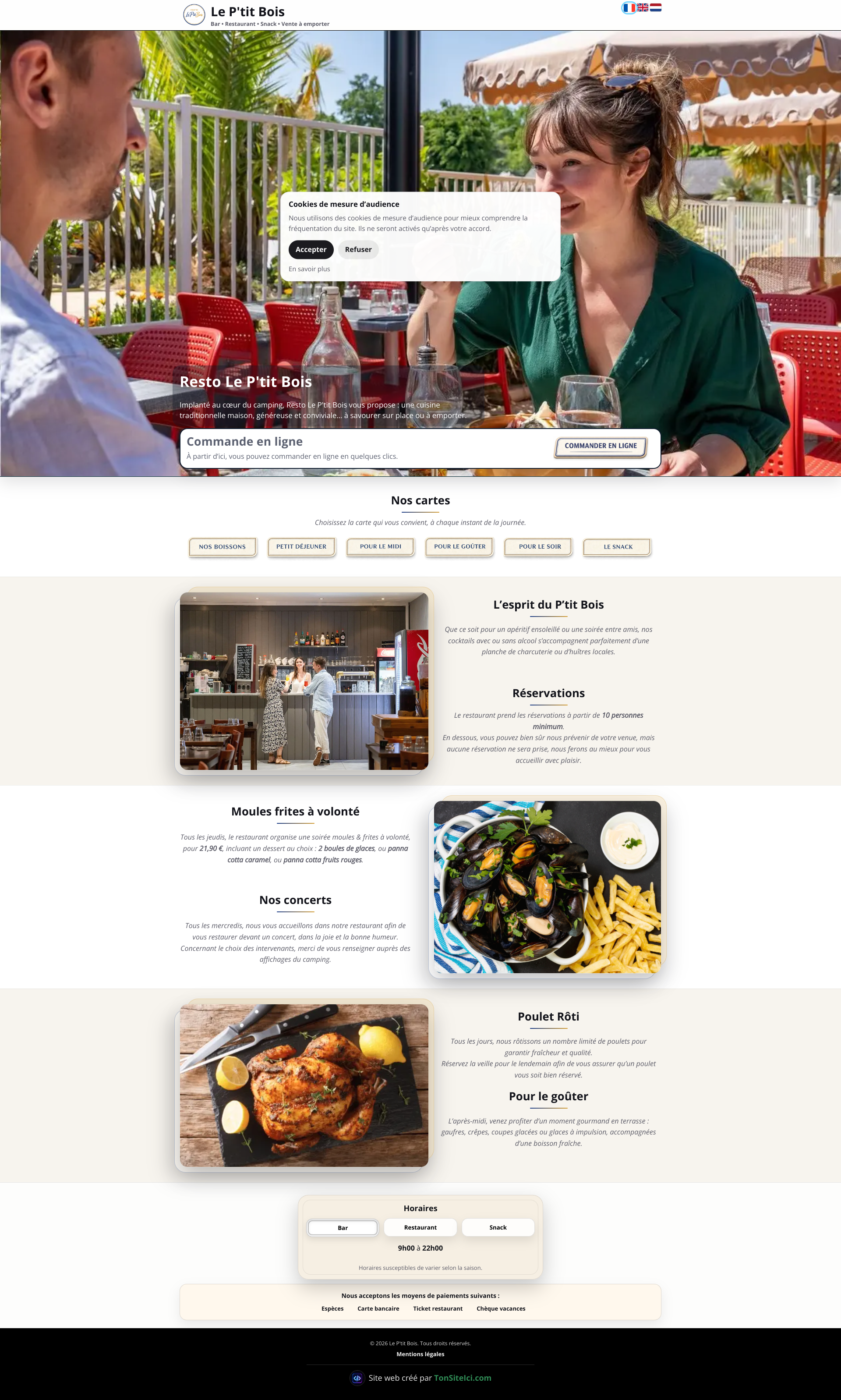 Aperçu du site