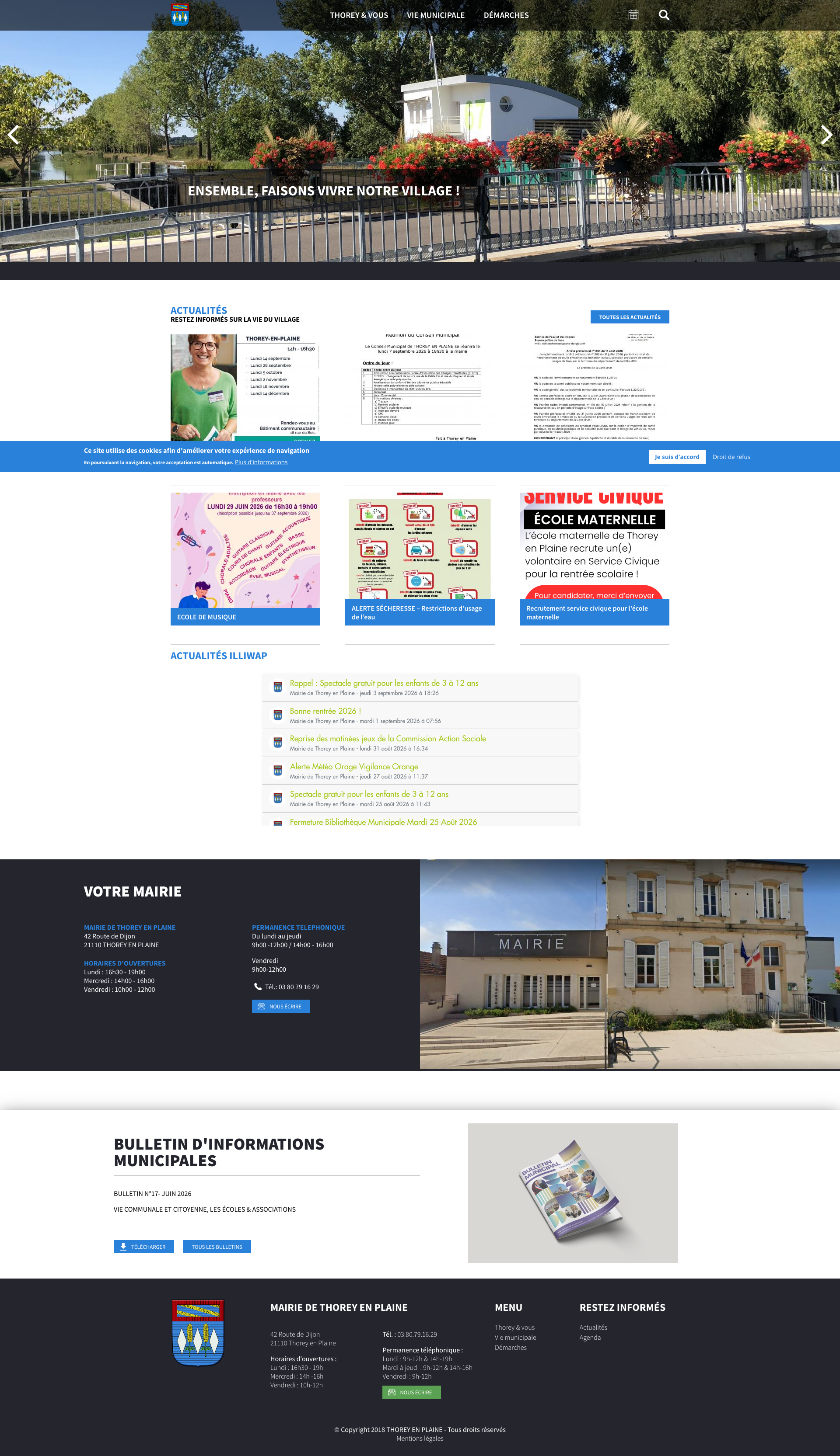 Aperçu du site