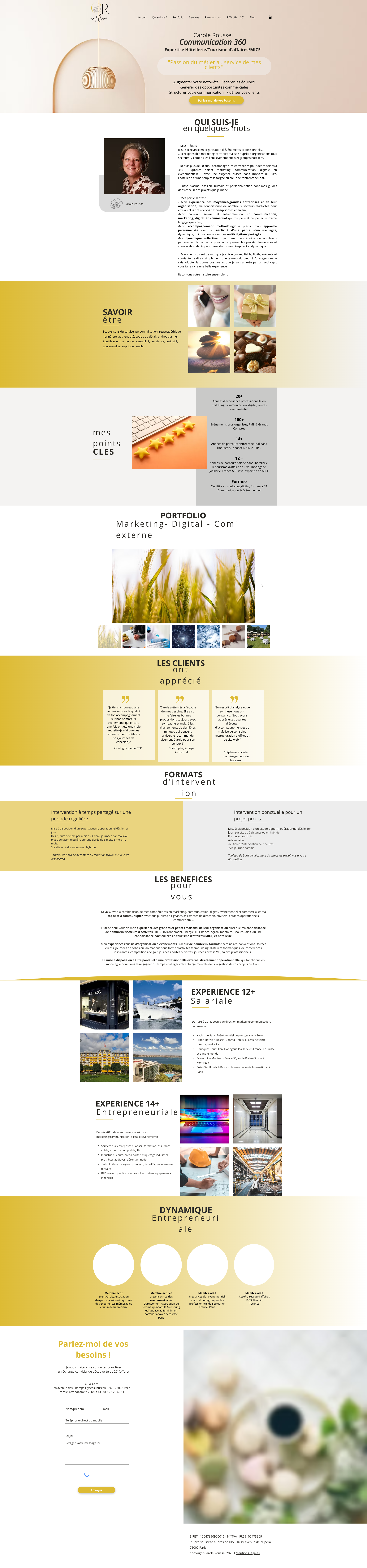 Aperçu du site