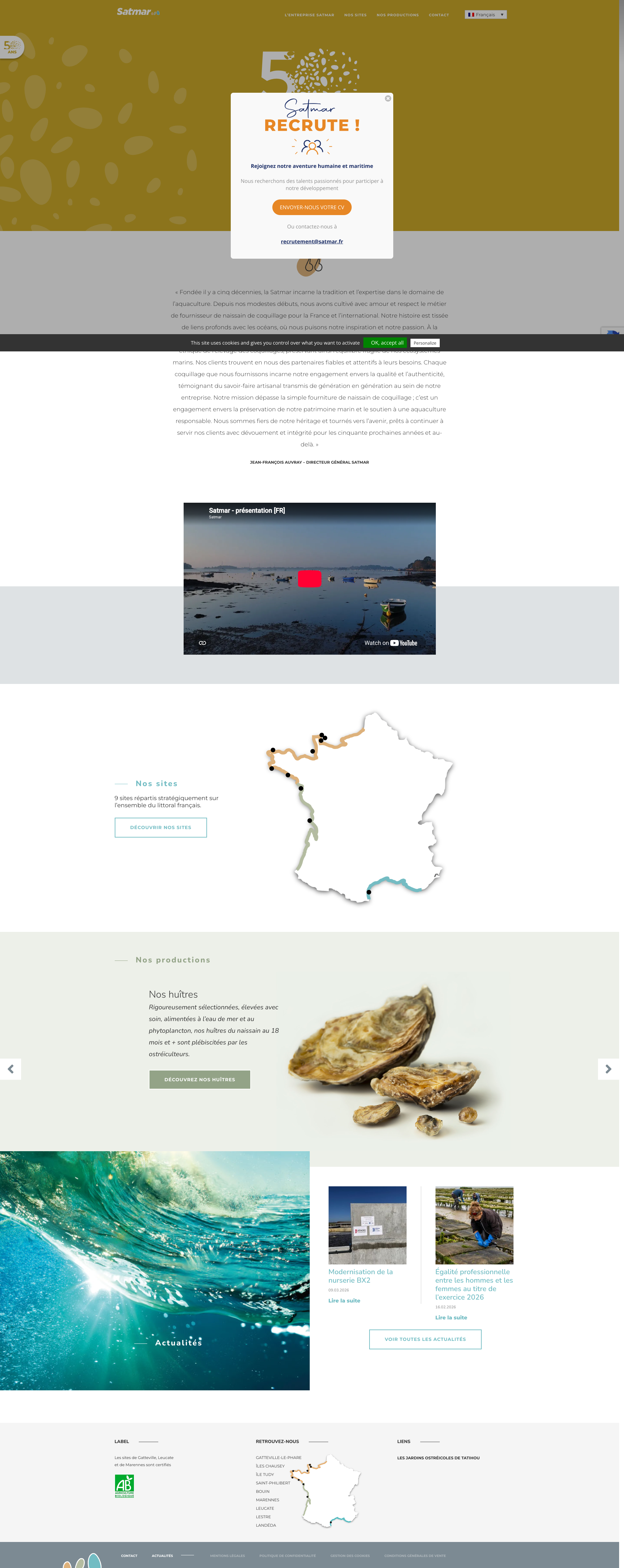 Aperçu du site