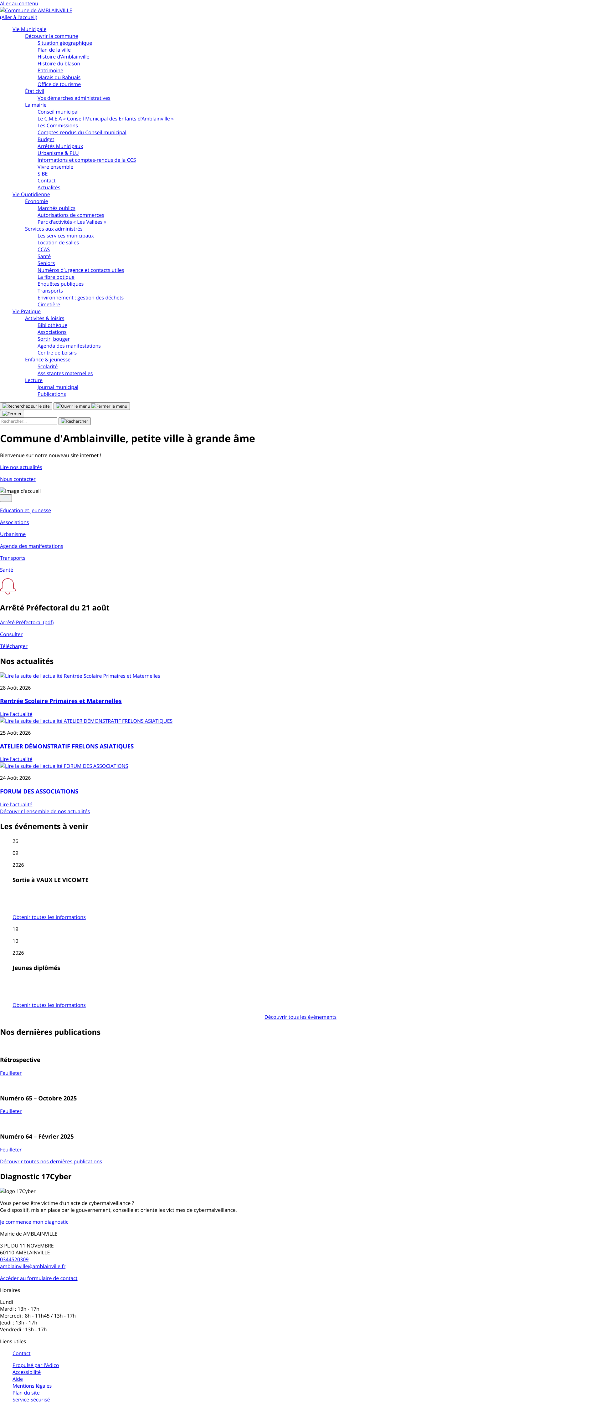 Aperçu du site