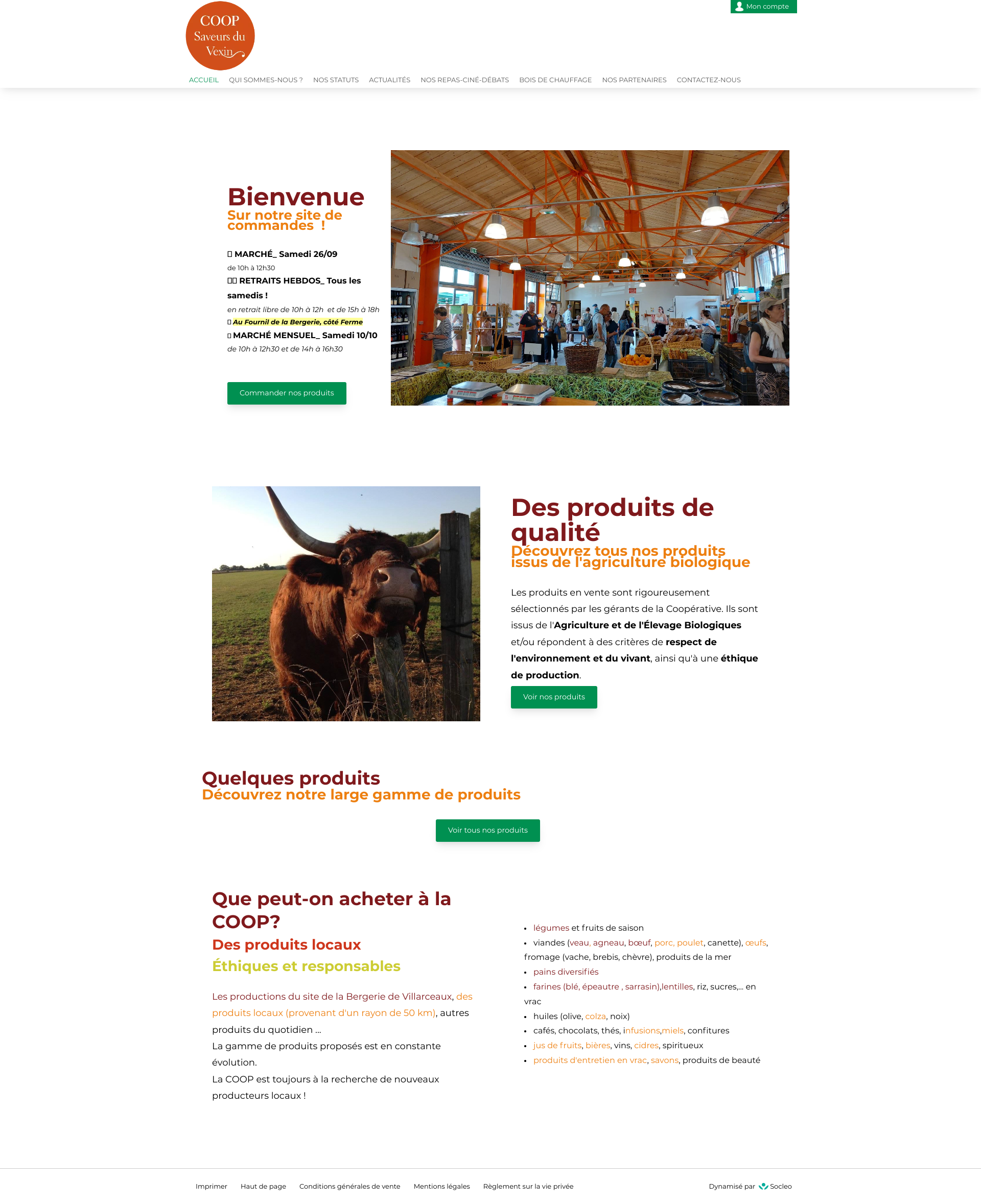 Aperçu du site