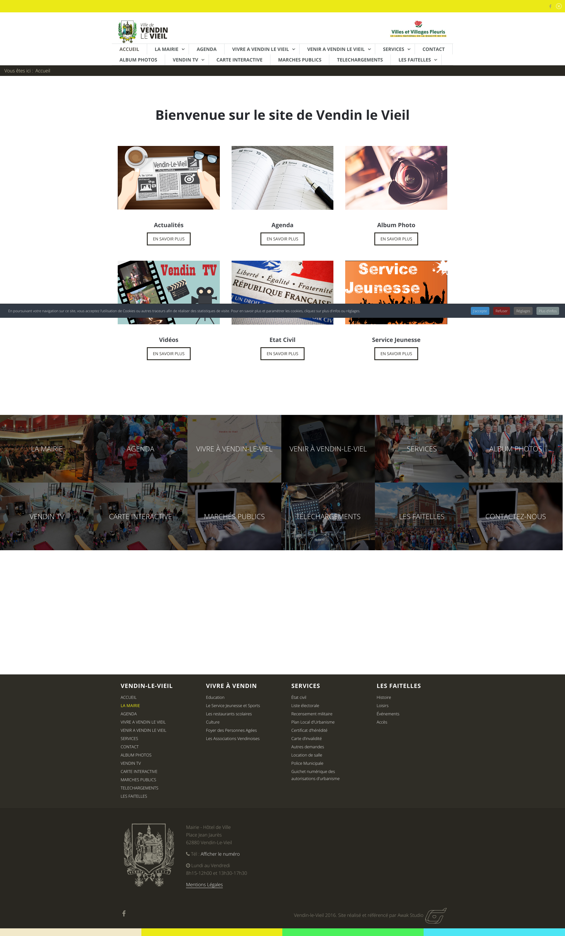 Aperçu du site