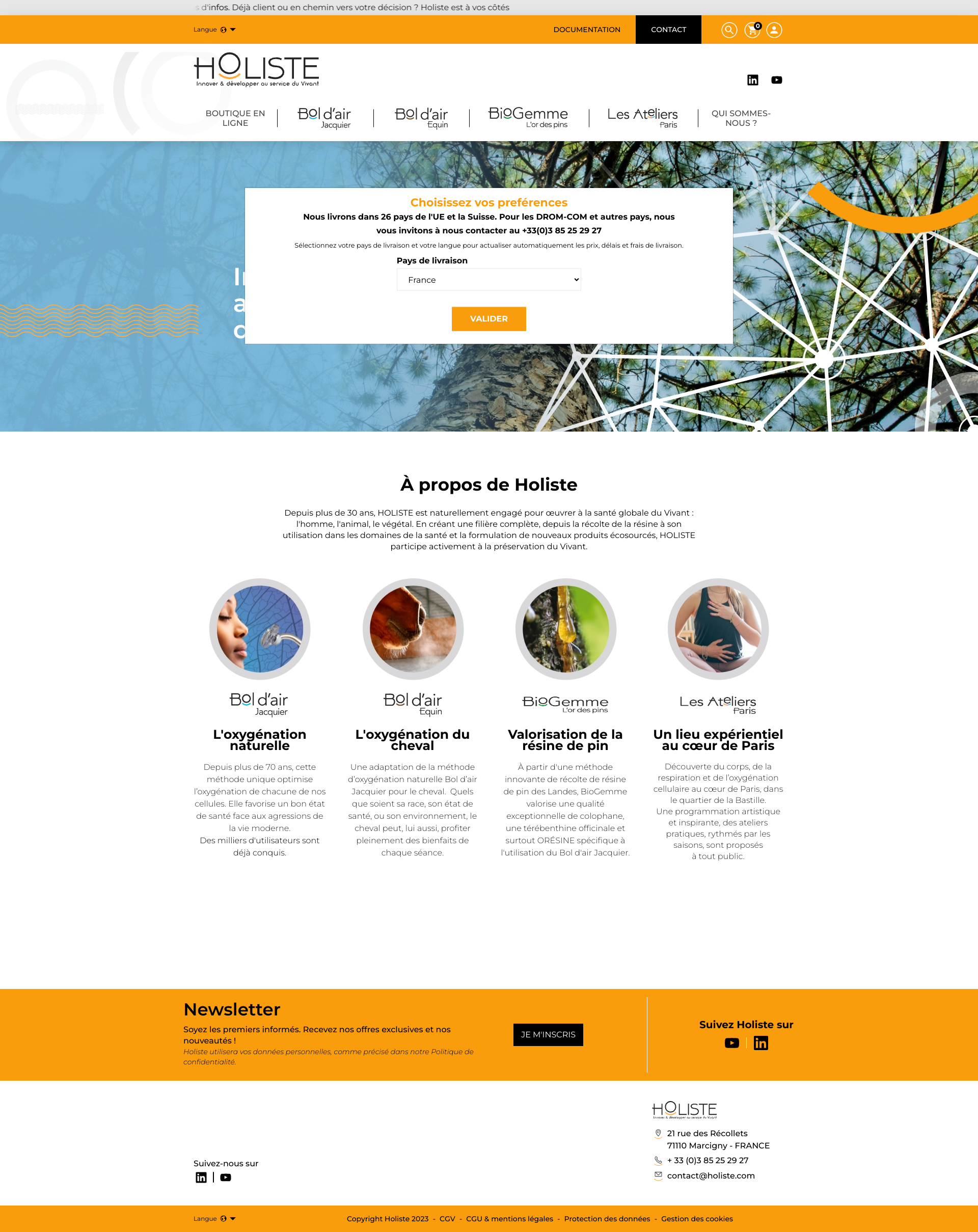 Aperçu du site