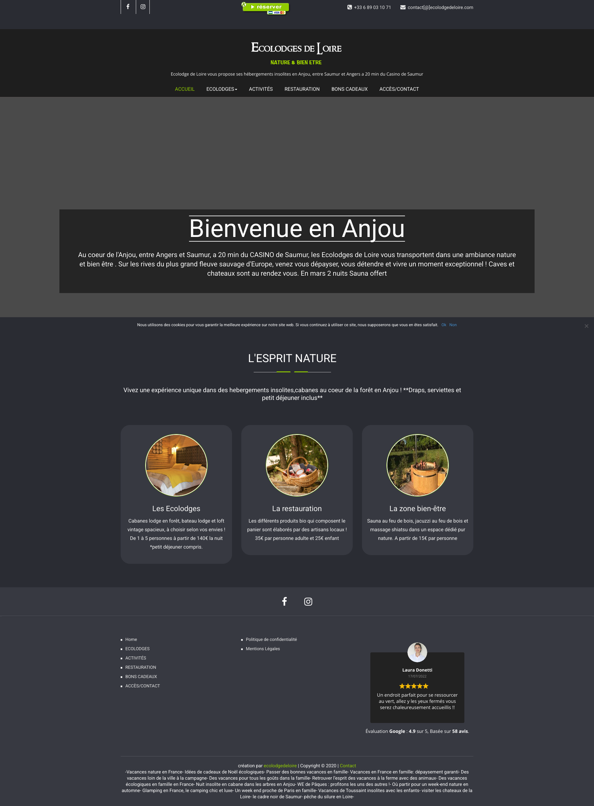 Aperçu du site