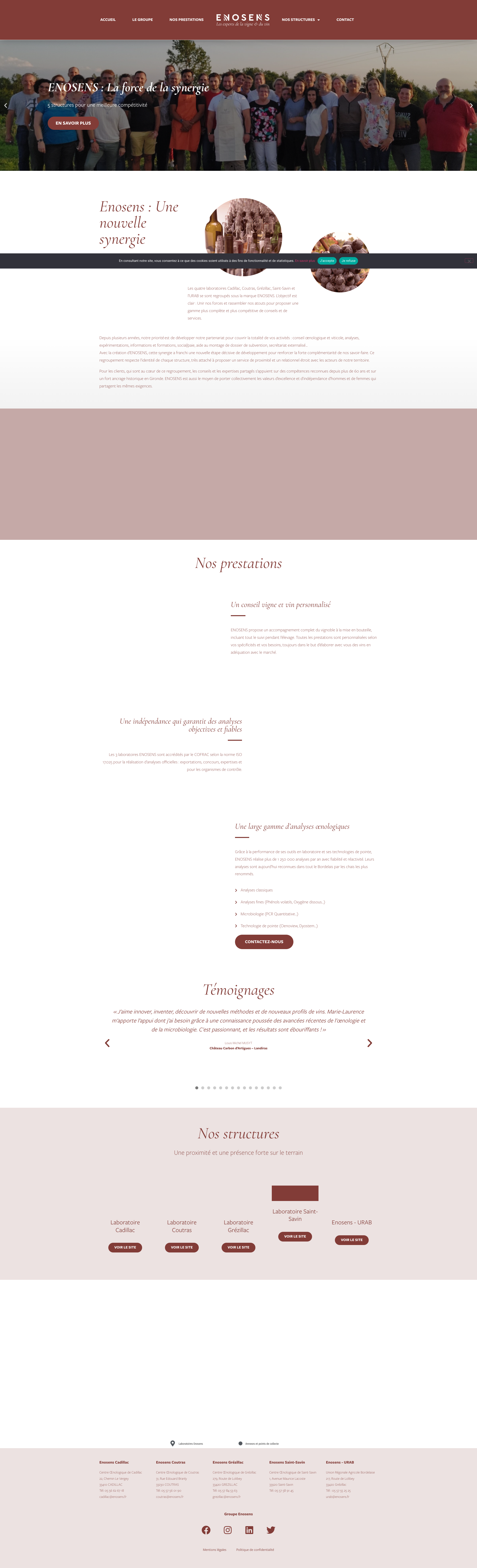 Aperçu du site