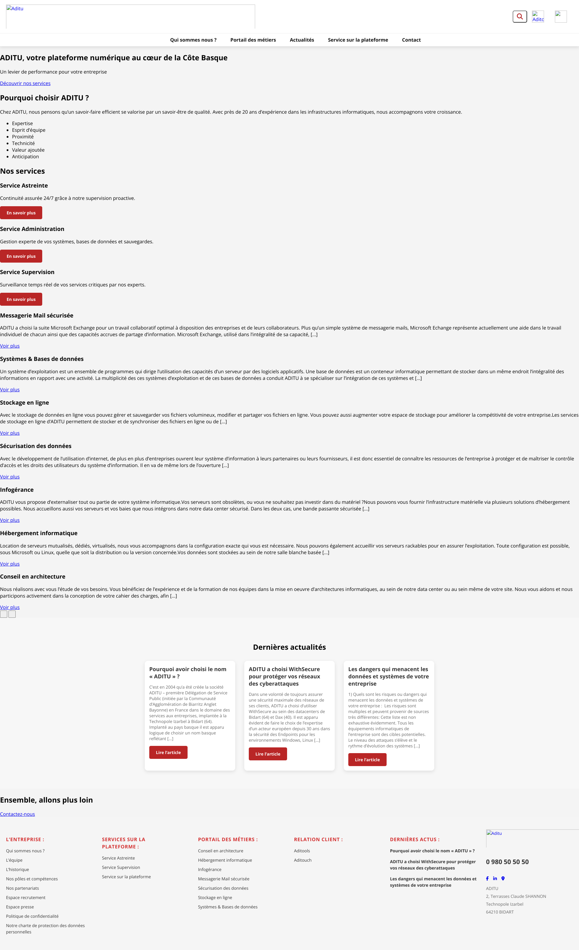 Aperçu du site