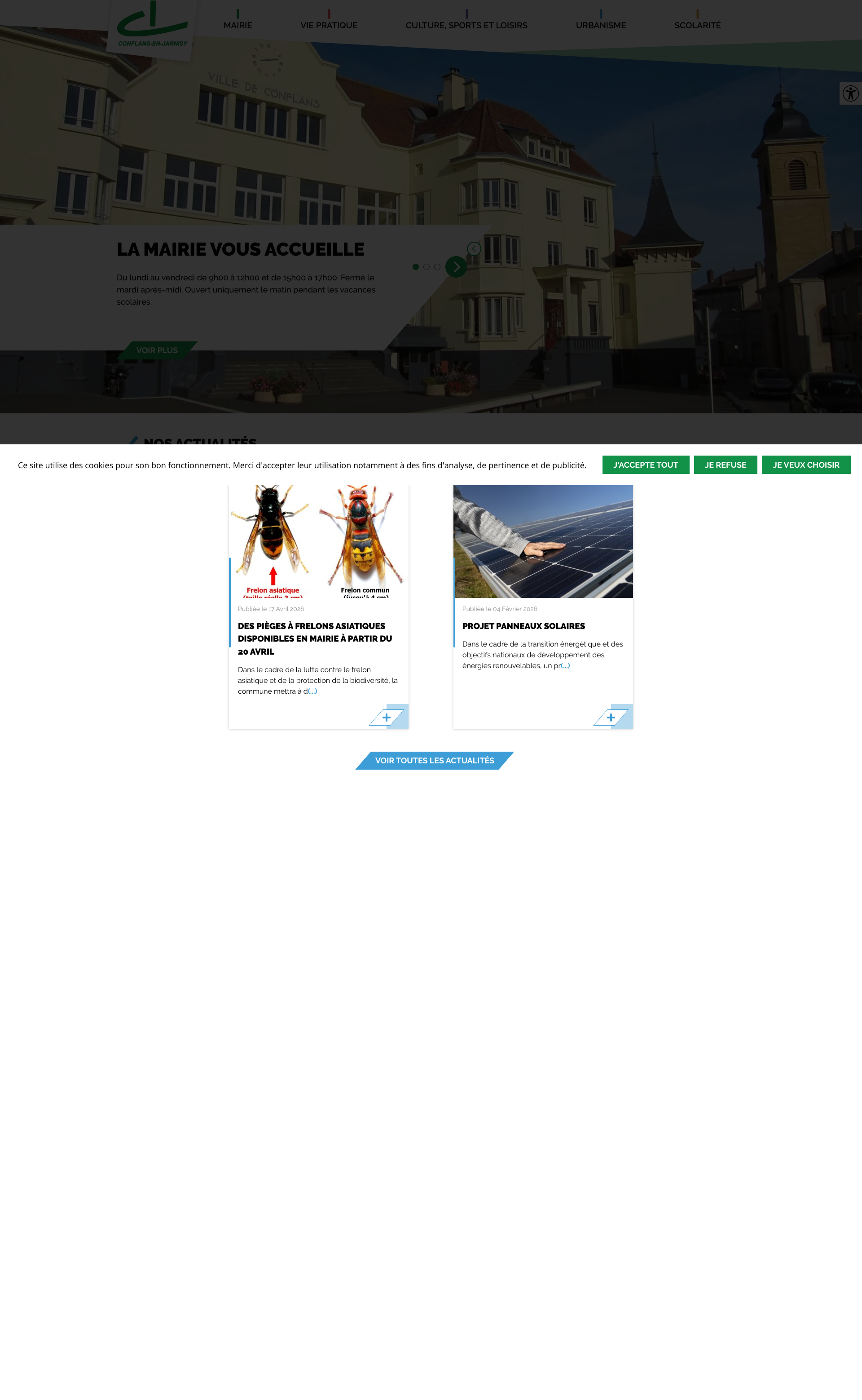 Aperçu du site