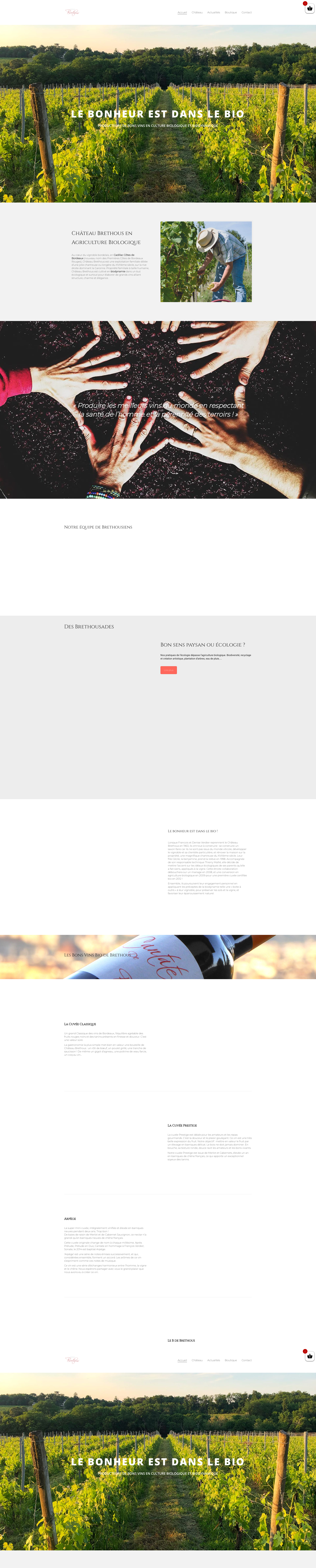 Aperçu du site