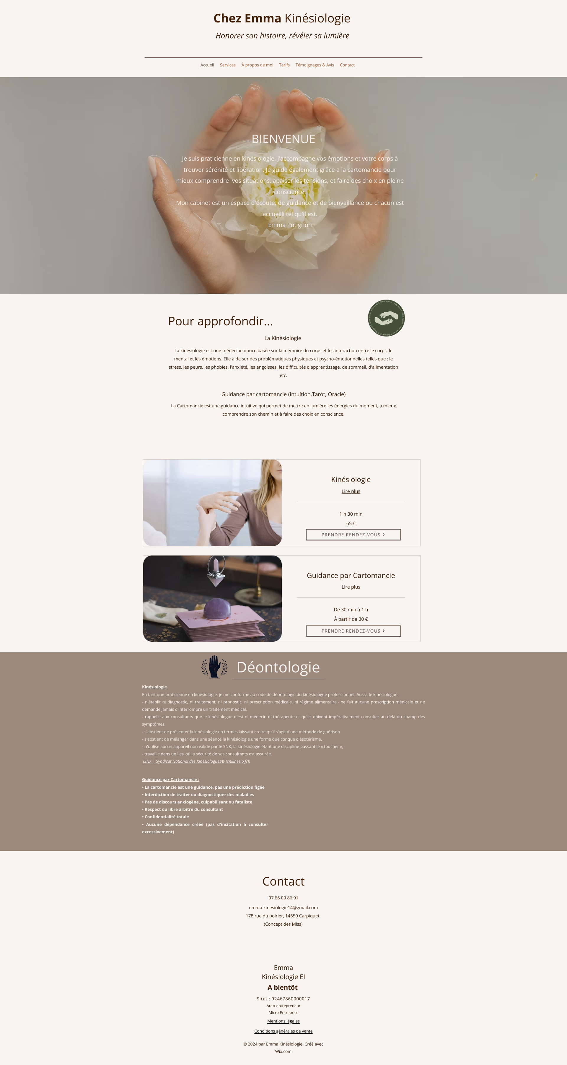 Aperçu du site