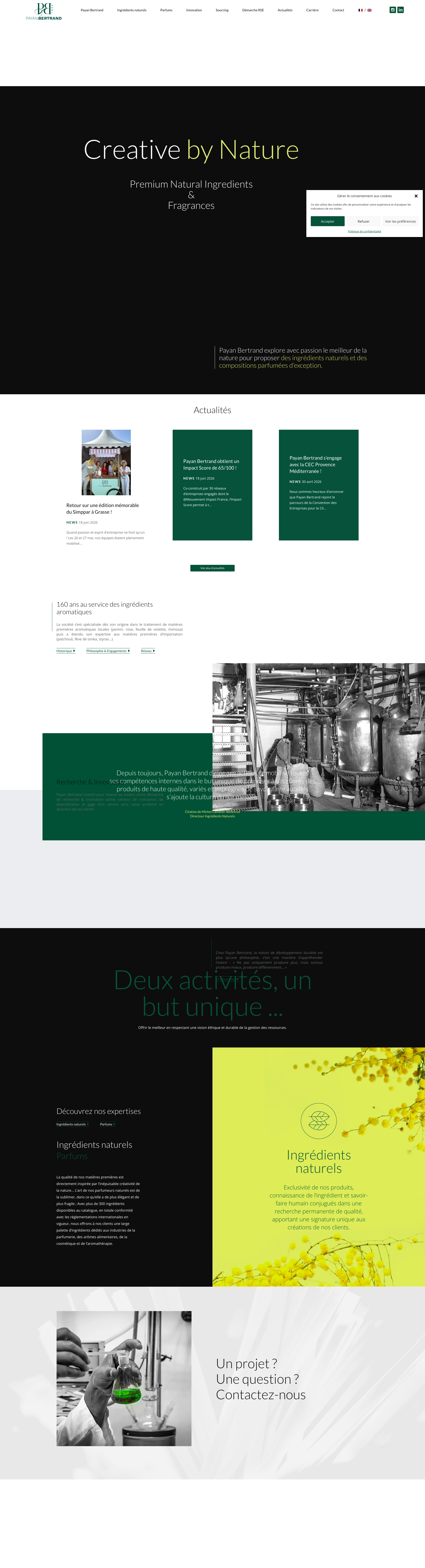 Aperçu du site