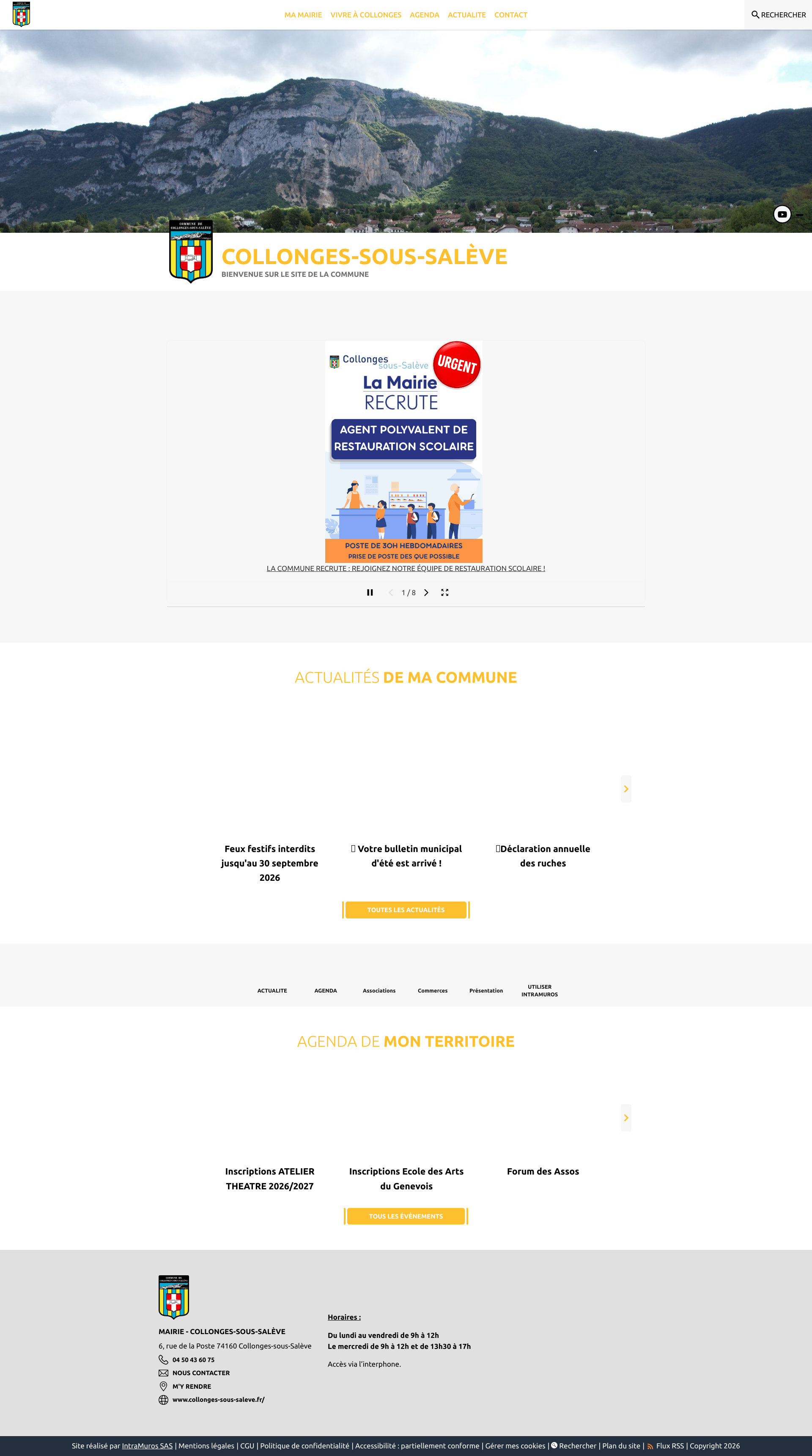Aperçu du site