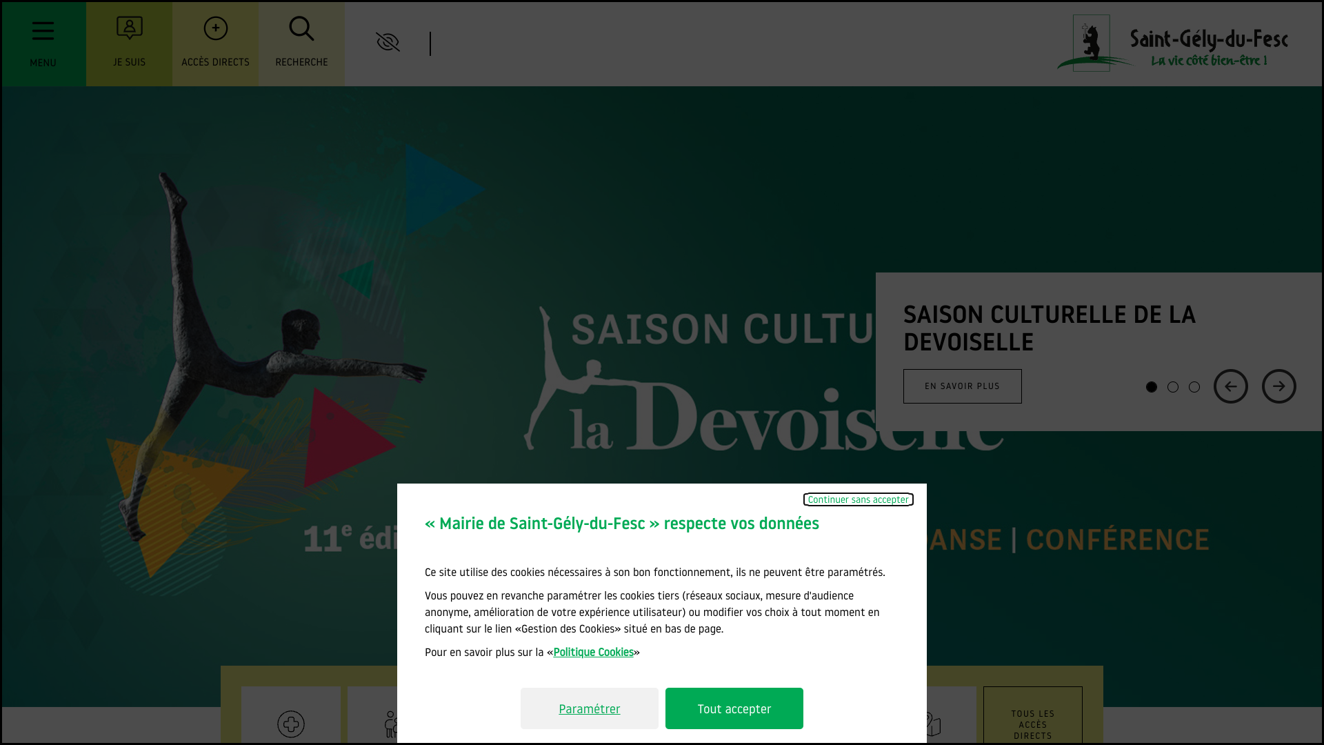 Aperçu du site