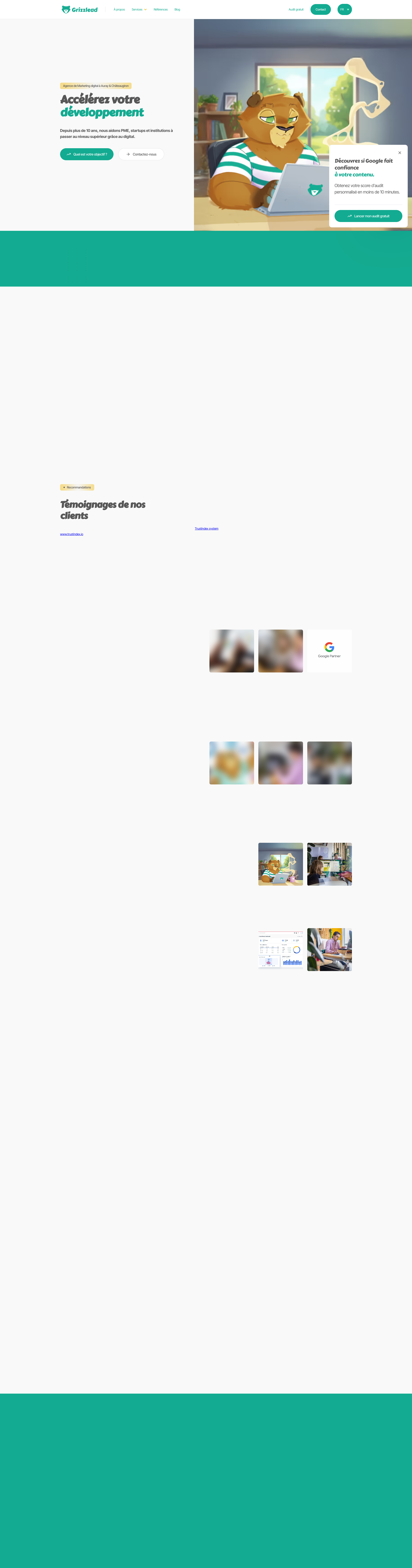 Aperçu du site