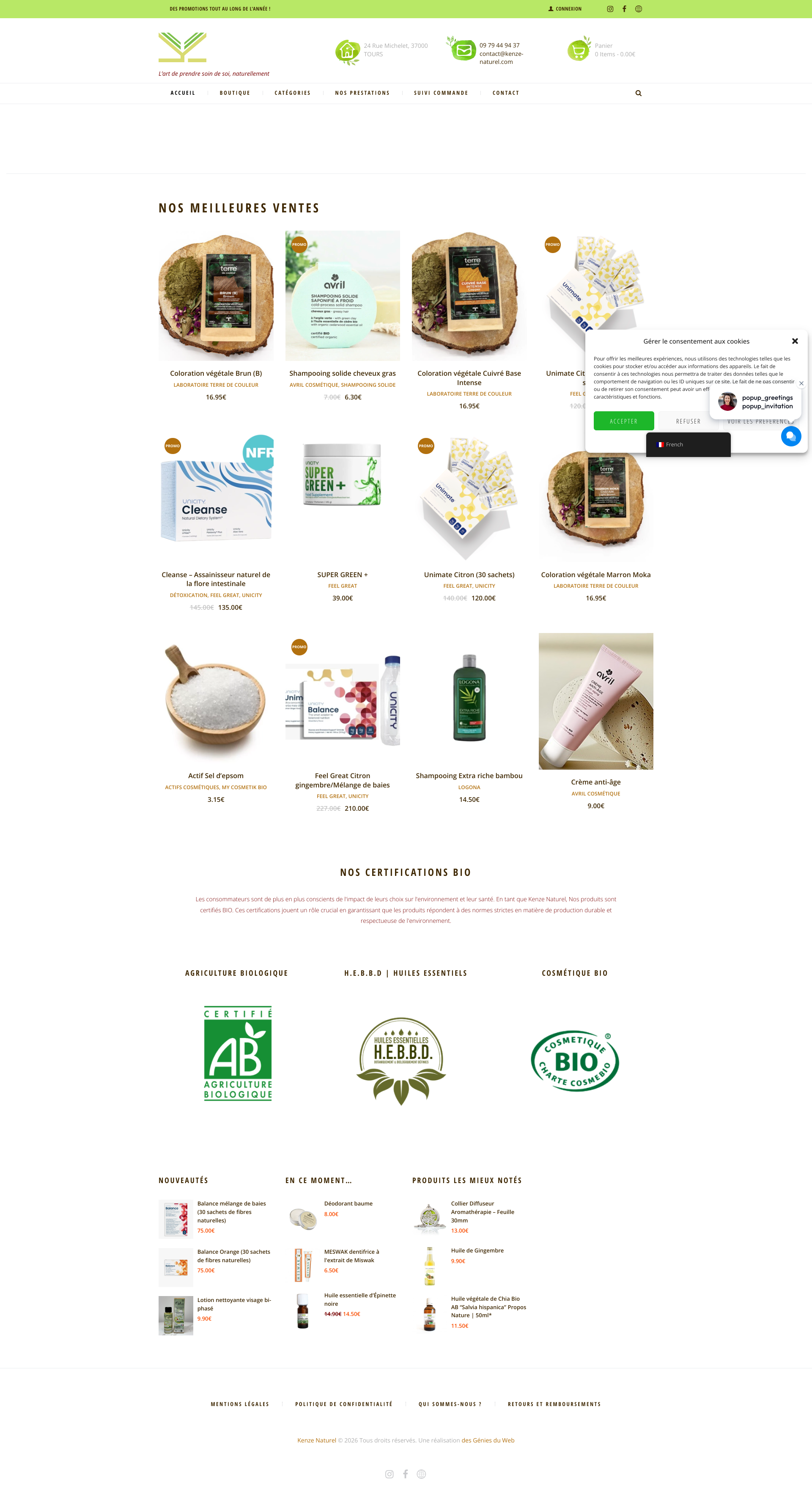 Aperçu du site