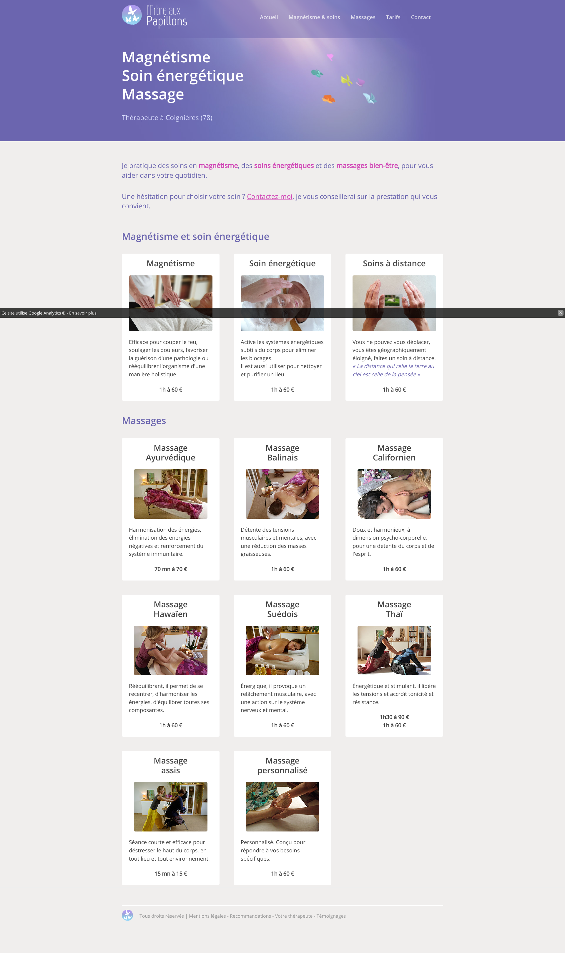 Aperçu du site