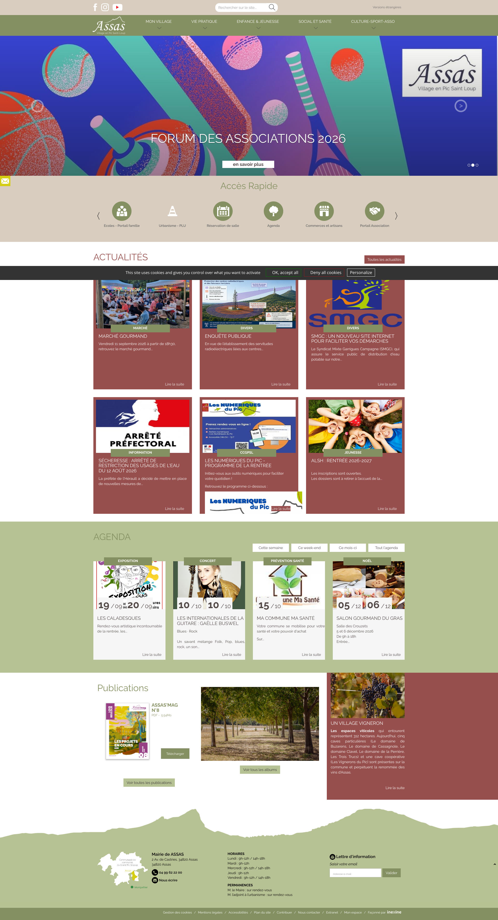 Aperçu du site
