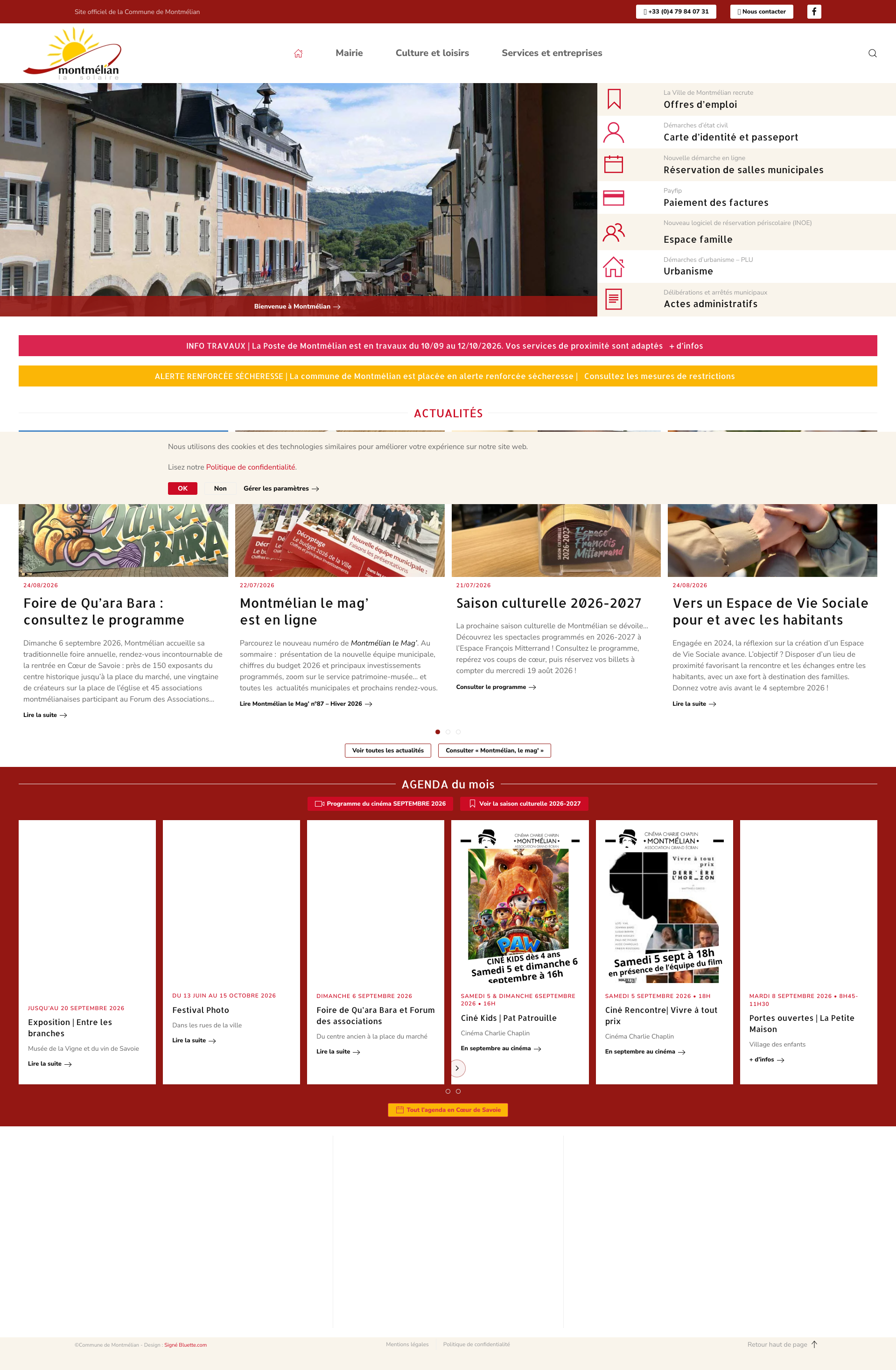 Aperçu du site