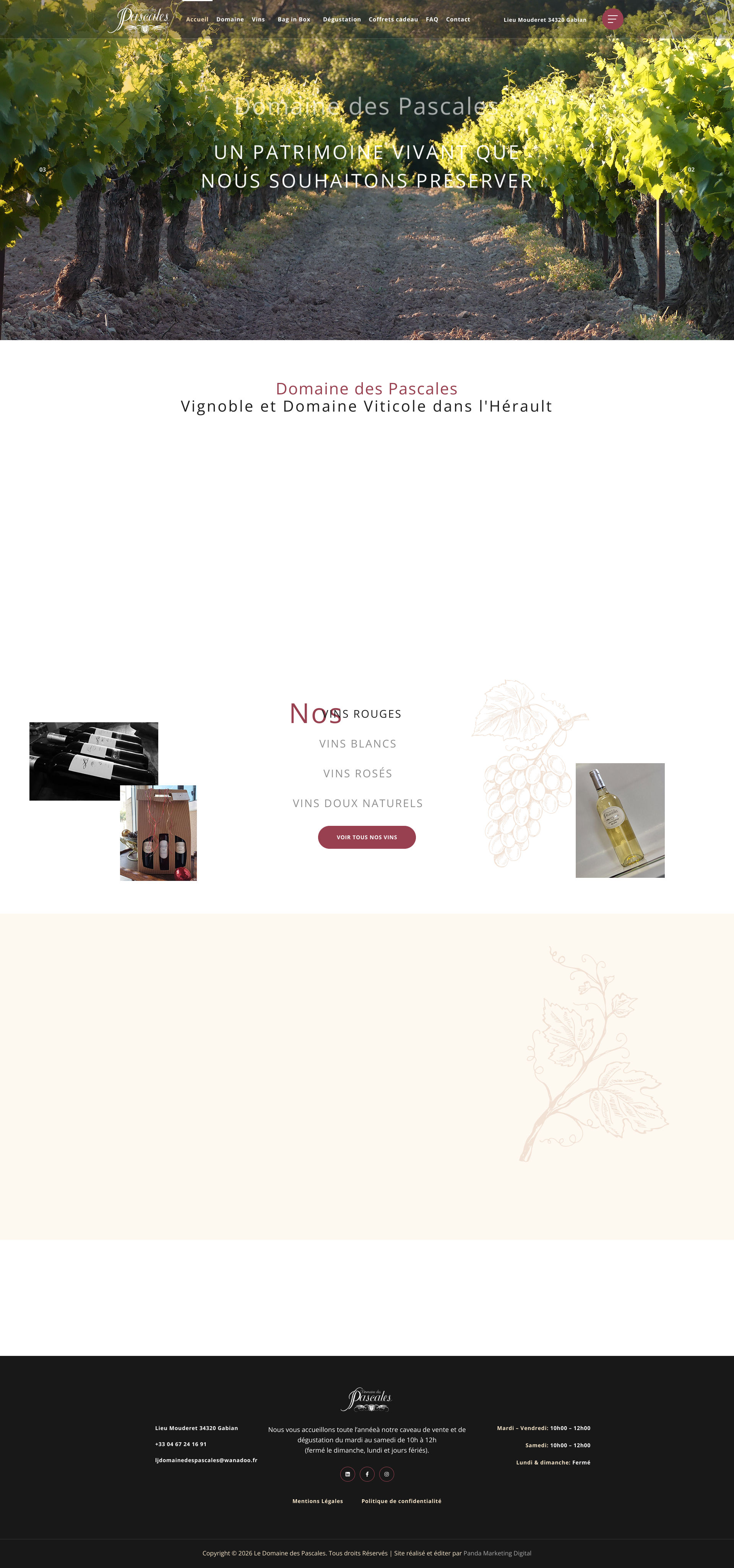 Aperçu du site