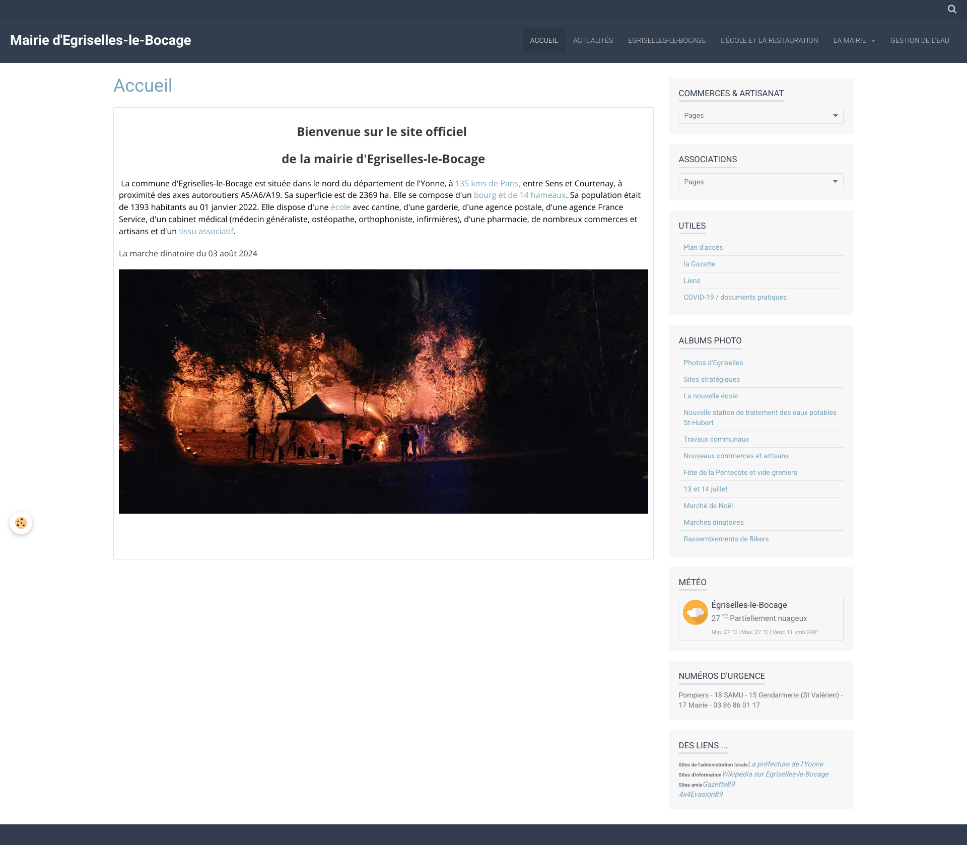 Aperçu du site