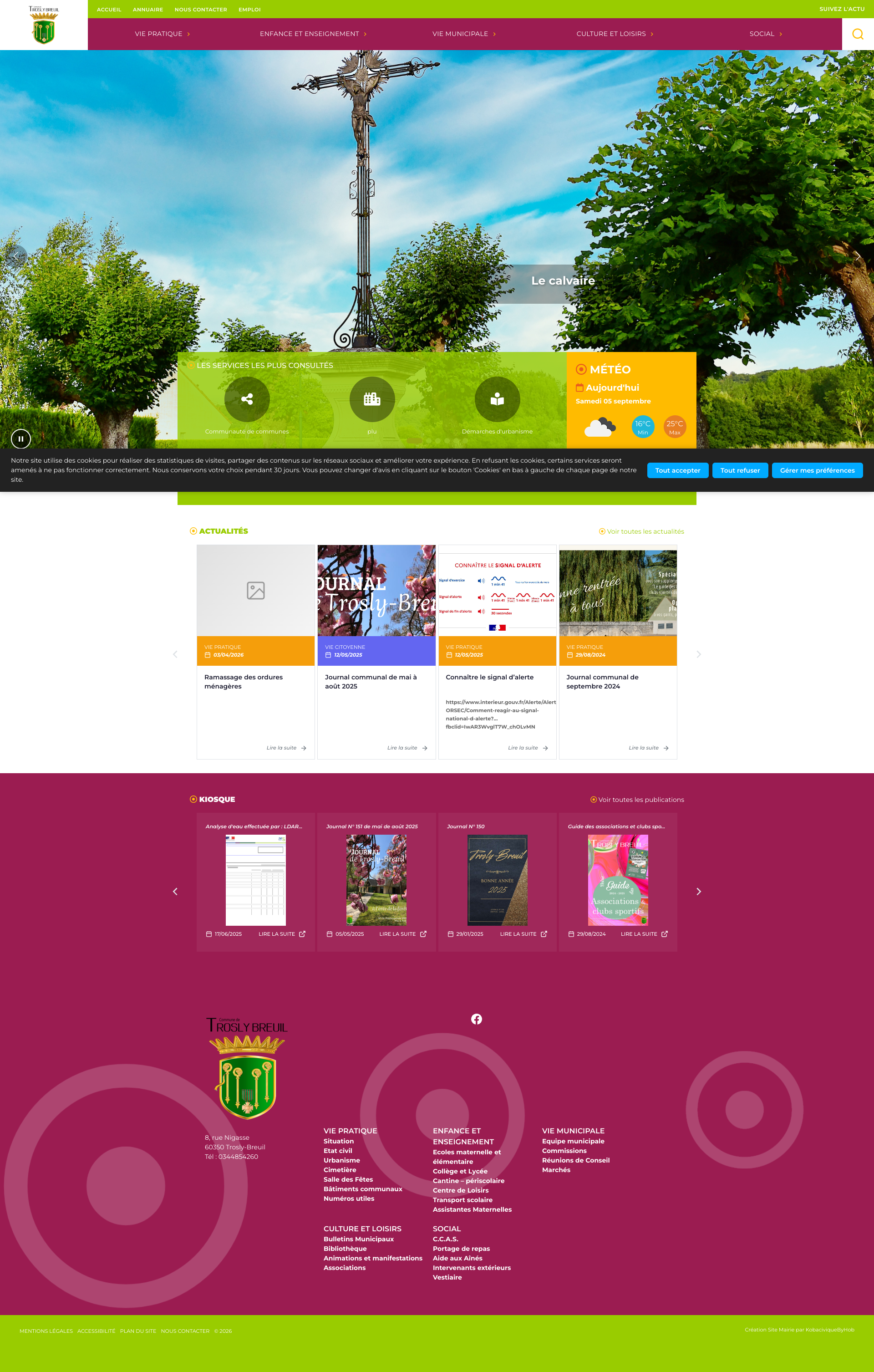 Aperçu du site