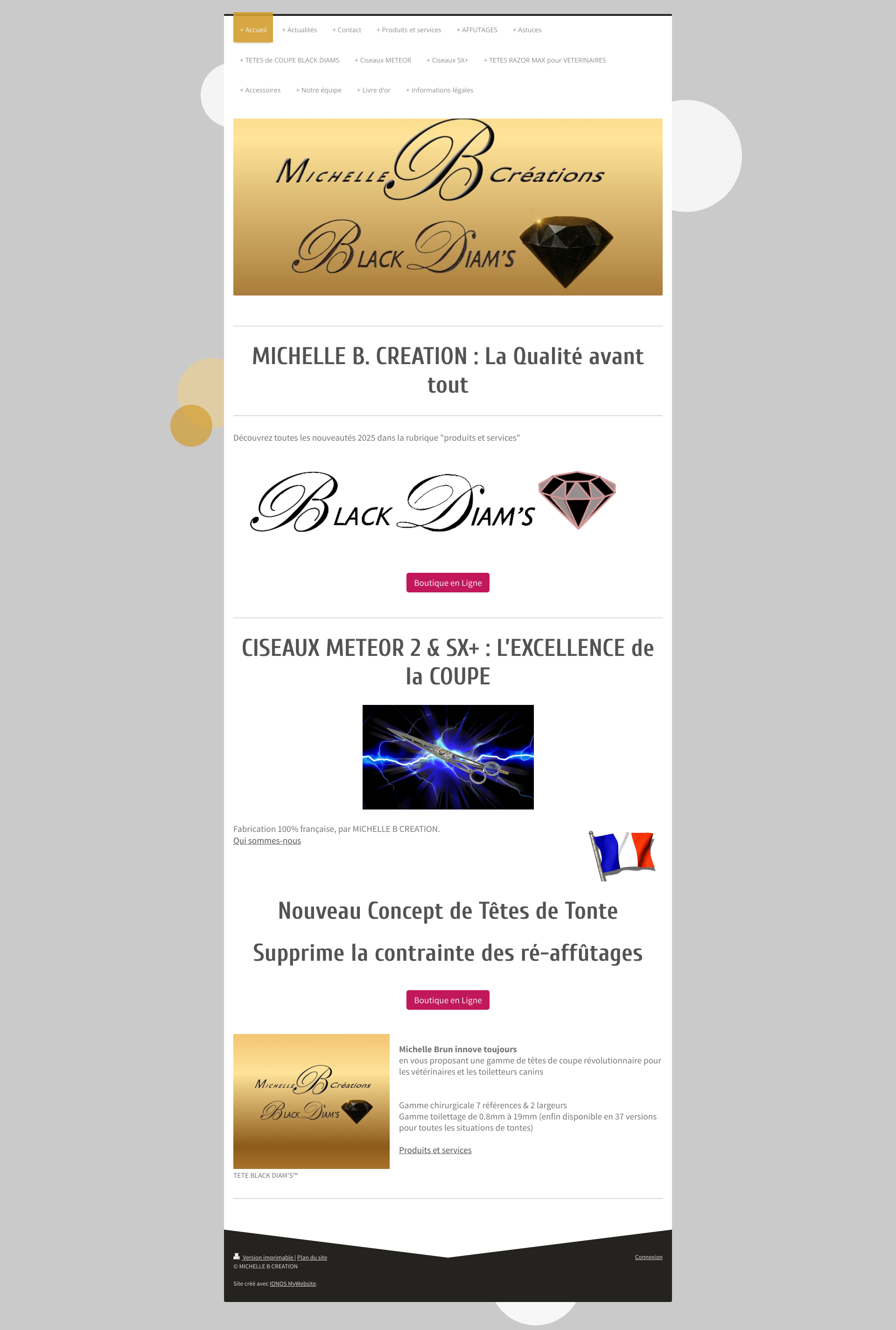 Aperçu du site