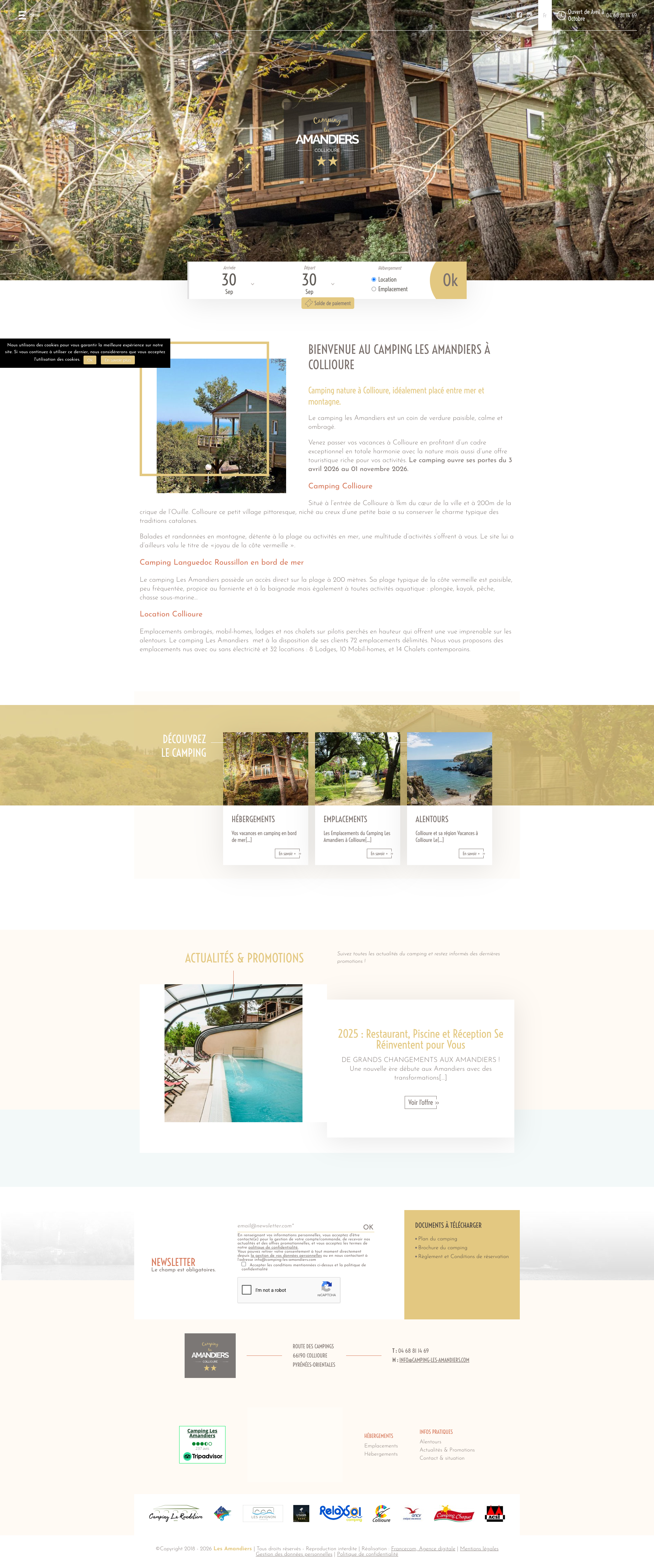 Aperçu du site